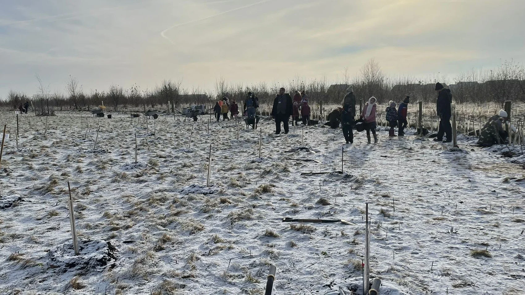 Tree planting in snow.jpg