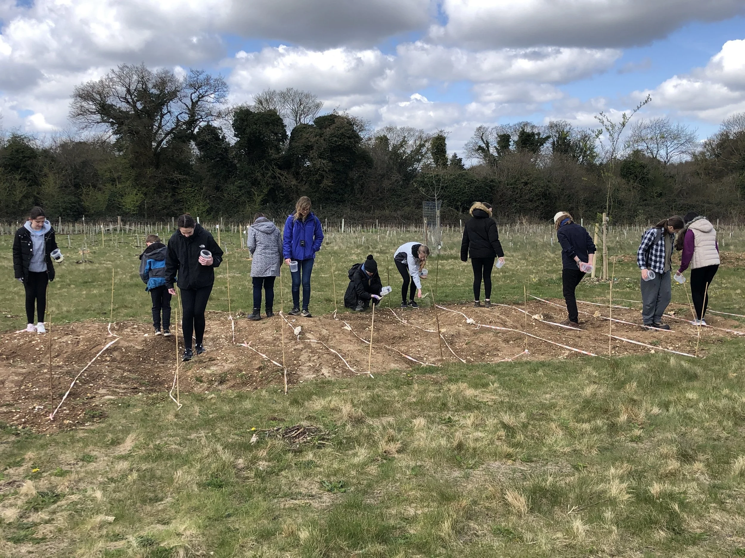 4Apr_Seed Sowing Wood.JPG
