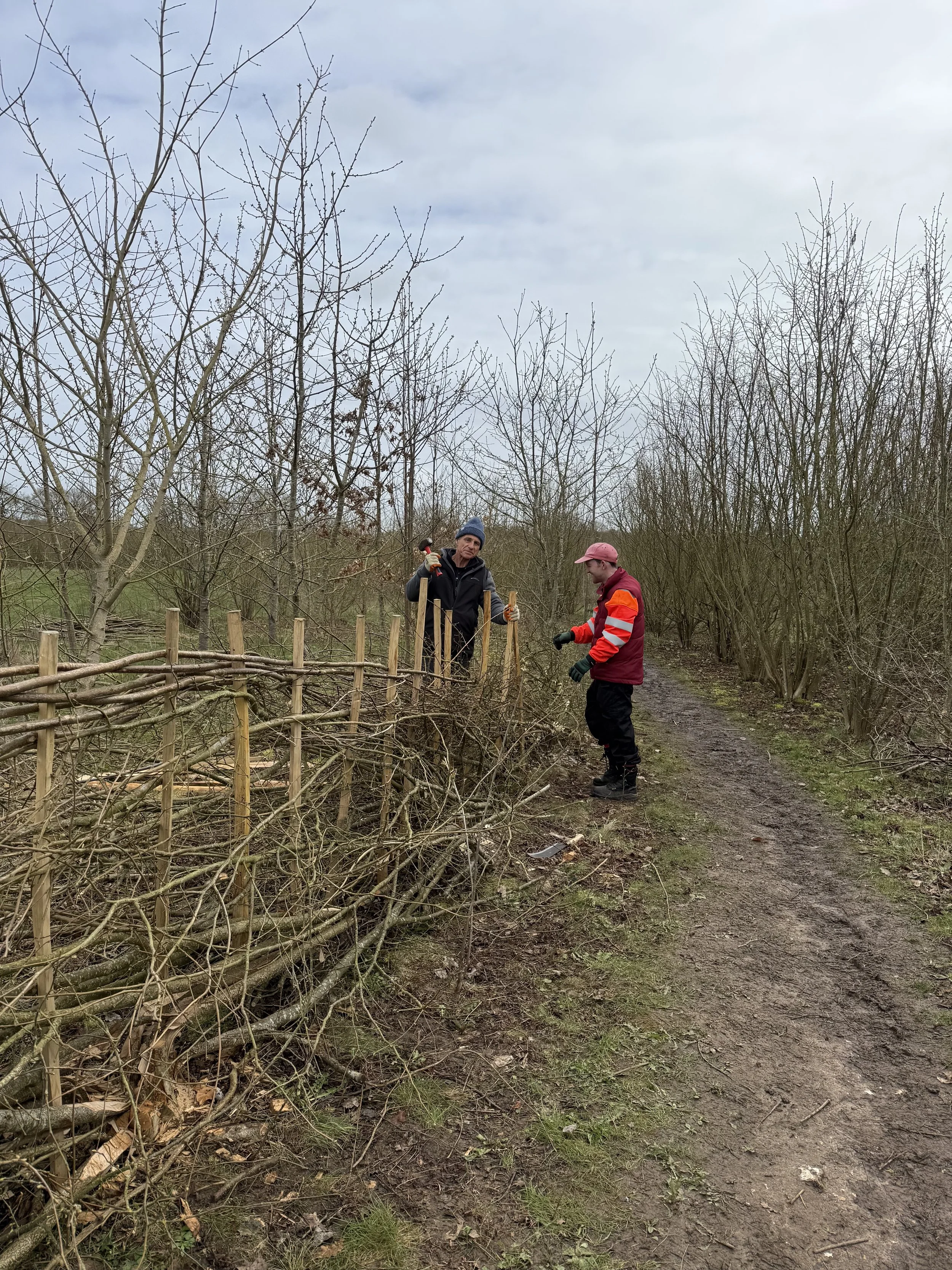 Hedge-laying 16-03 Paul Sam Brian Steve [1].jpeg