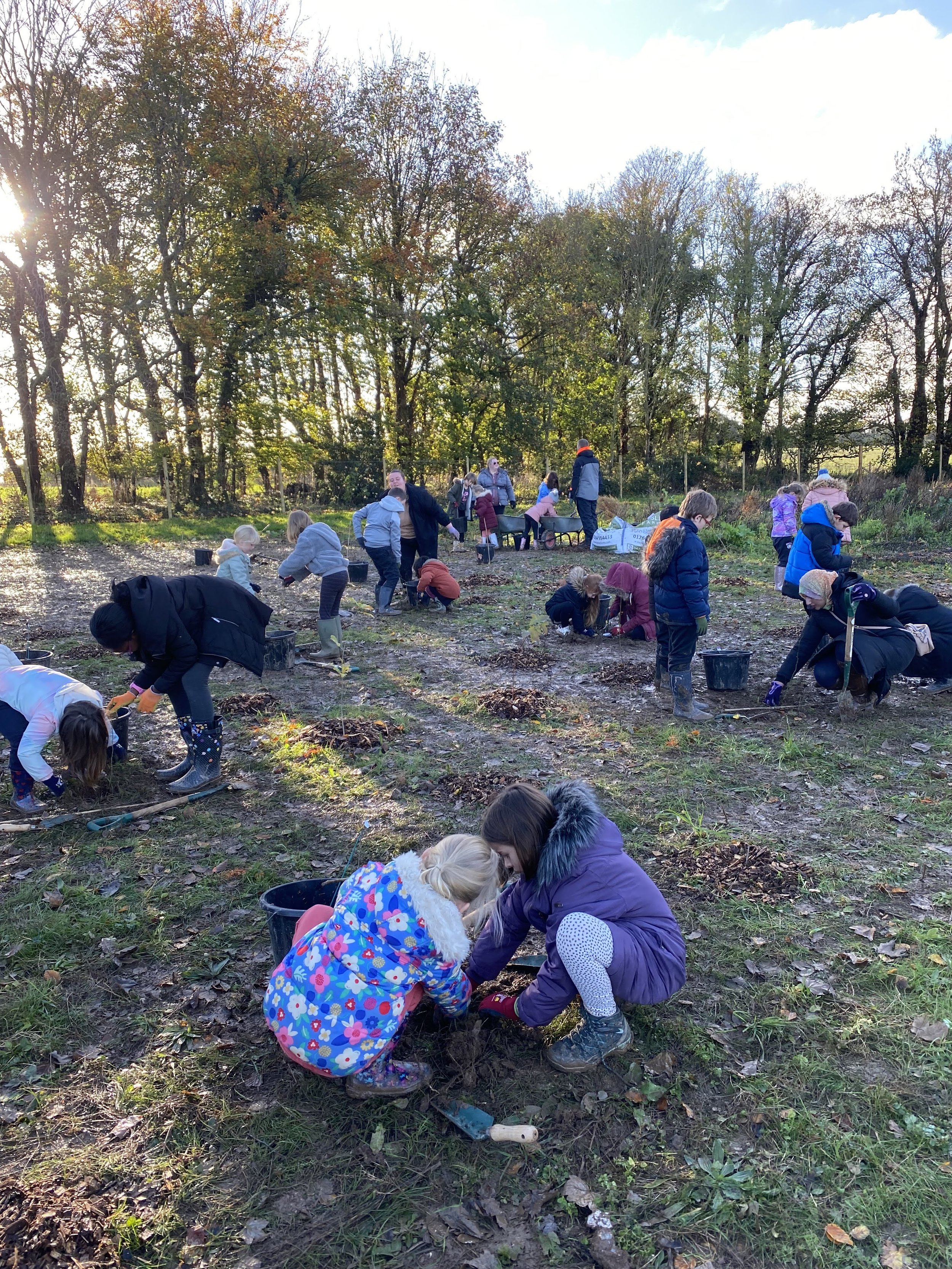 Children begin planting at Bury Hill 2022