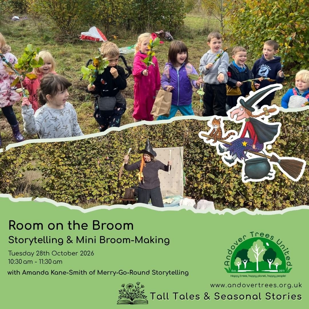 Tall Tales &amp; Seasonal Stories: Room on the Broom