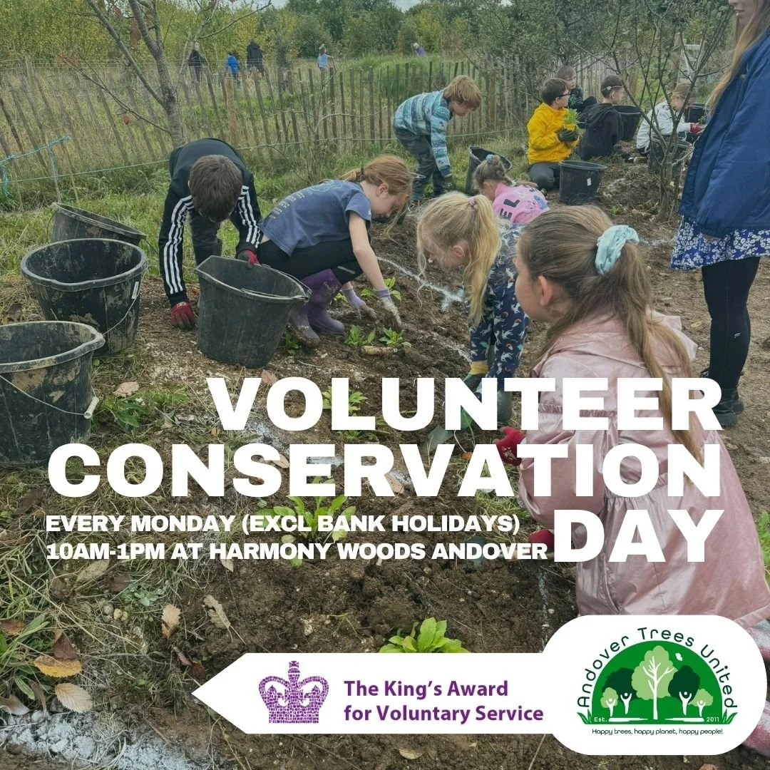 Volunteer Conservation Day