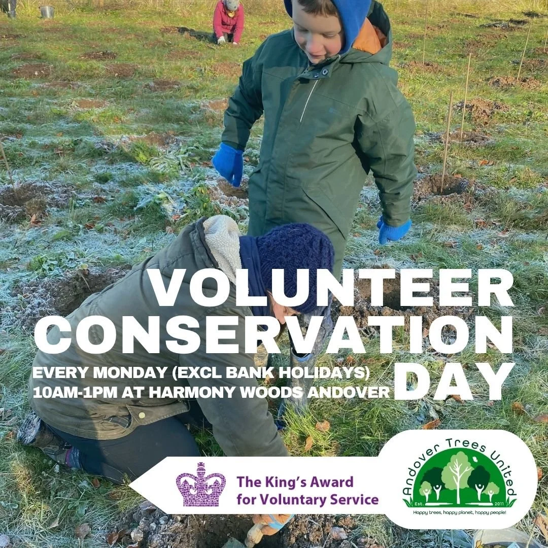 Volunteer Conservation Day