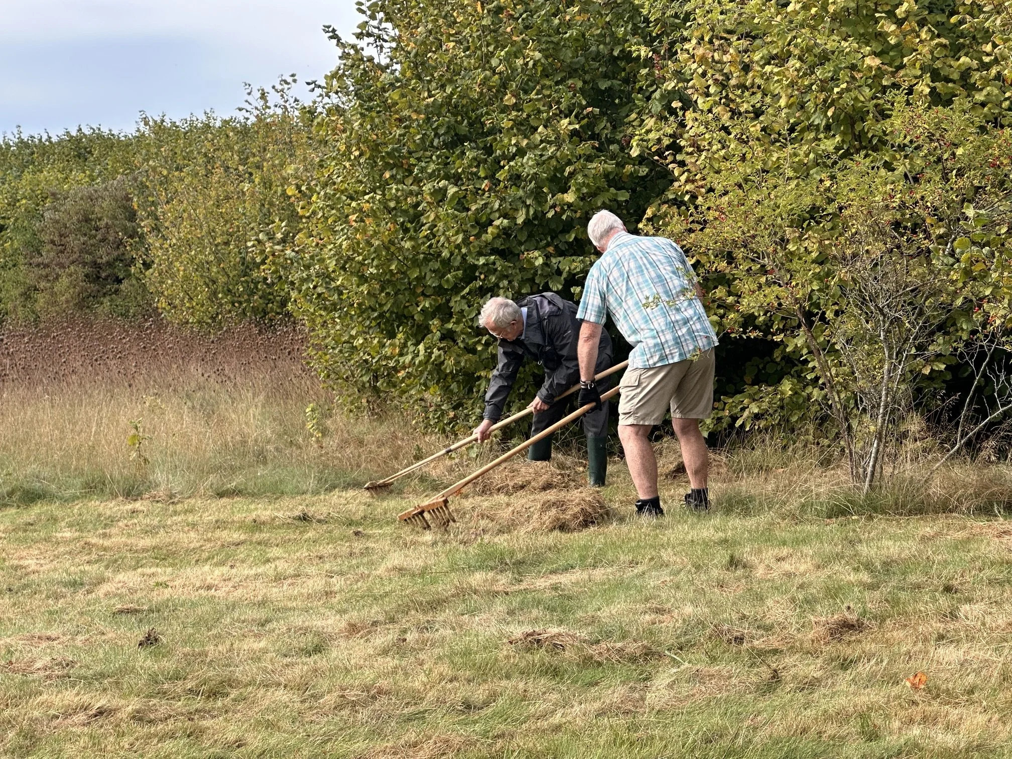 Digging it: The weekly adventures of Conservation Crew!