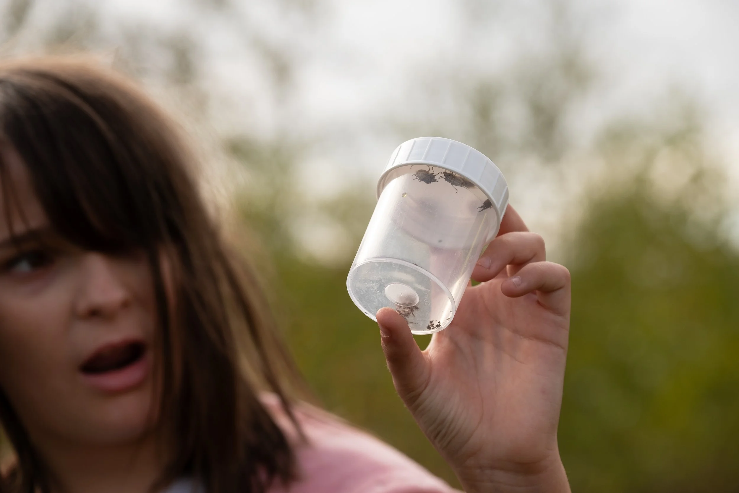 ATU_youth_bugcollection.JPG