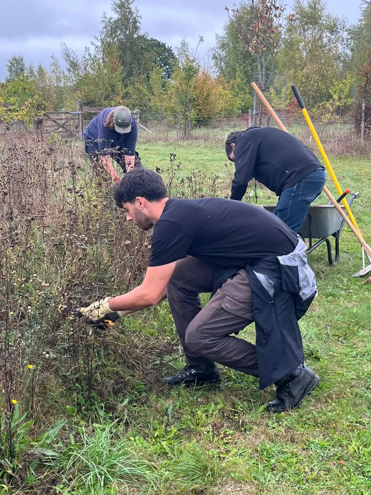 Digging it: The Weekly Adventures of the Conservation Crew!