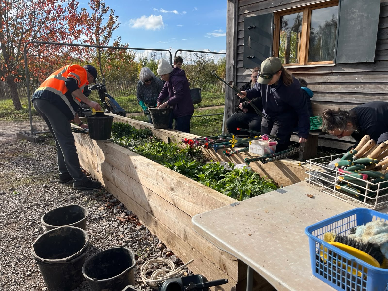 Digging it: The Weekly Adventures of the Conservation Crew!