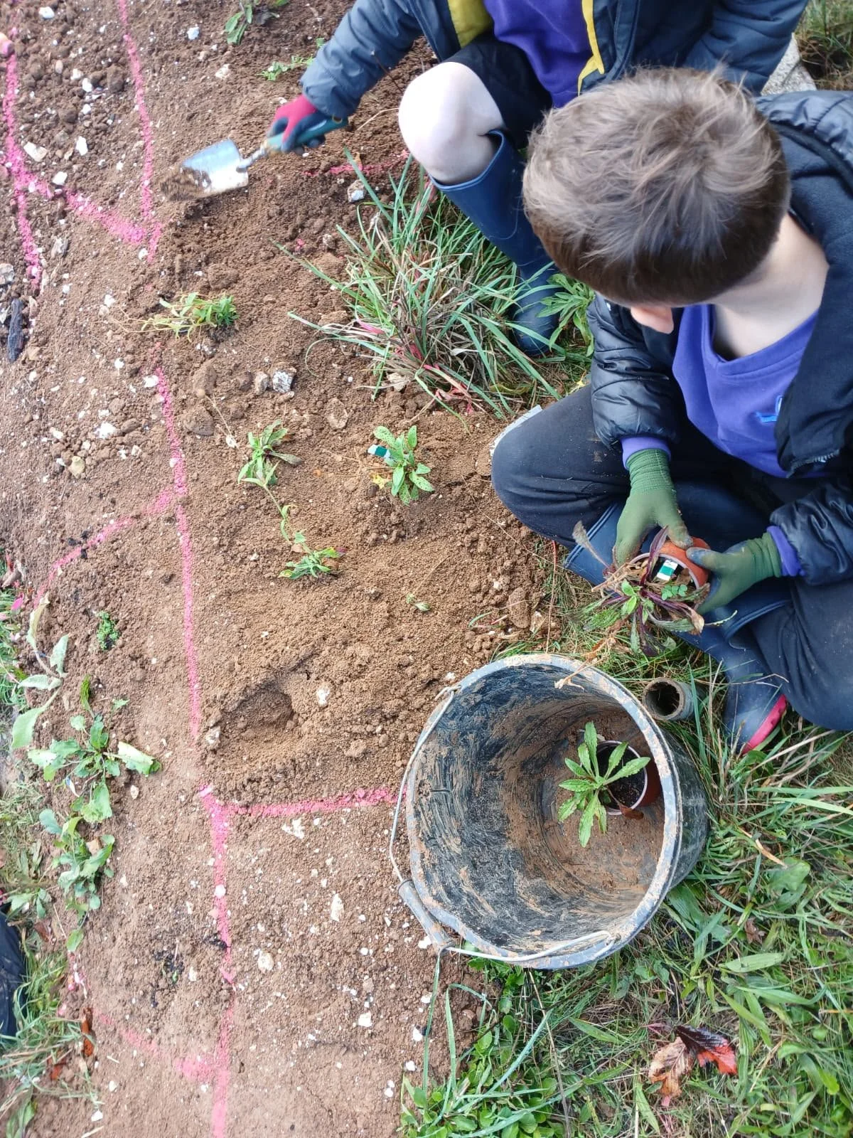 ATU_younggardenersplanning.jpeg