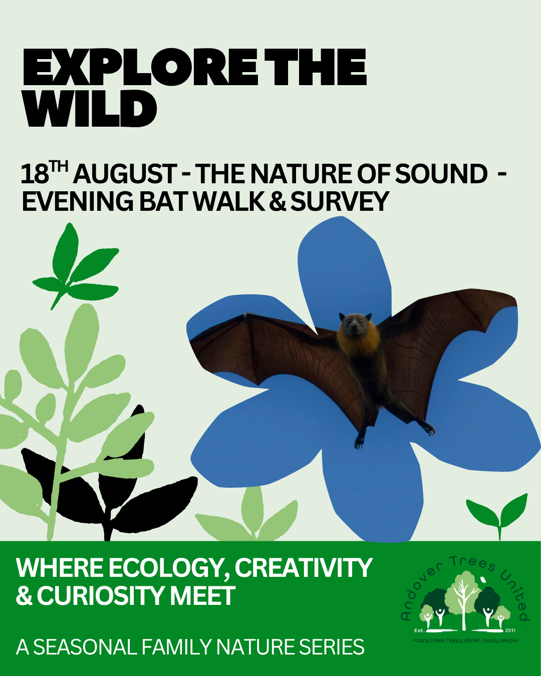 Explore The Wild - Bat walk in Andover for Families — Andover Trees United