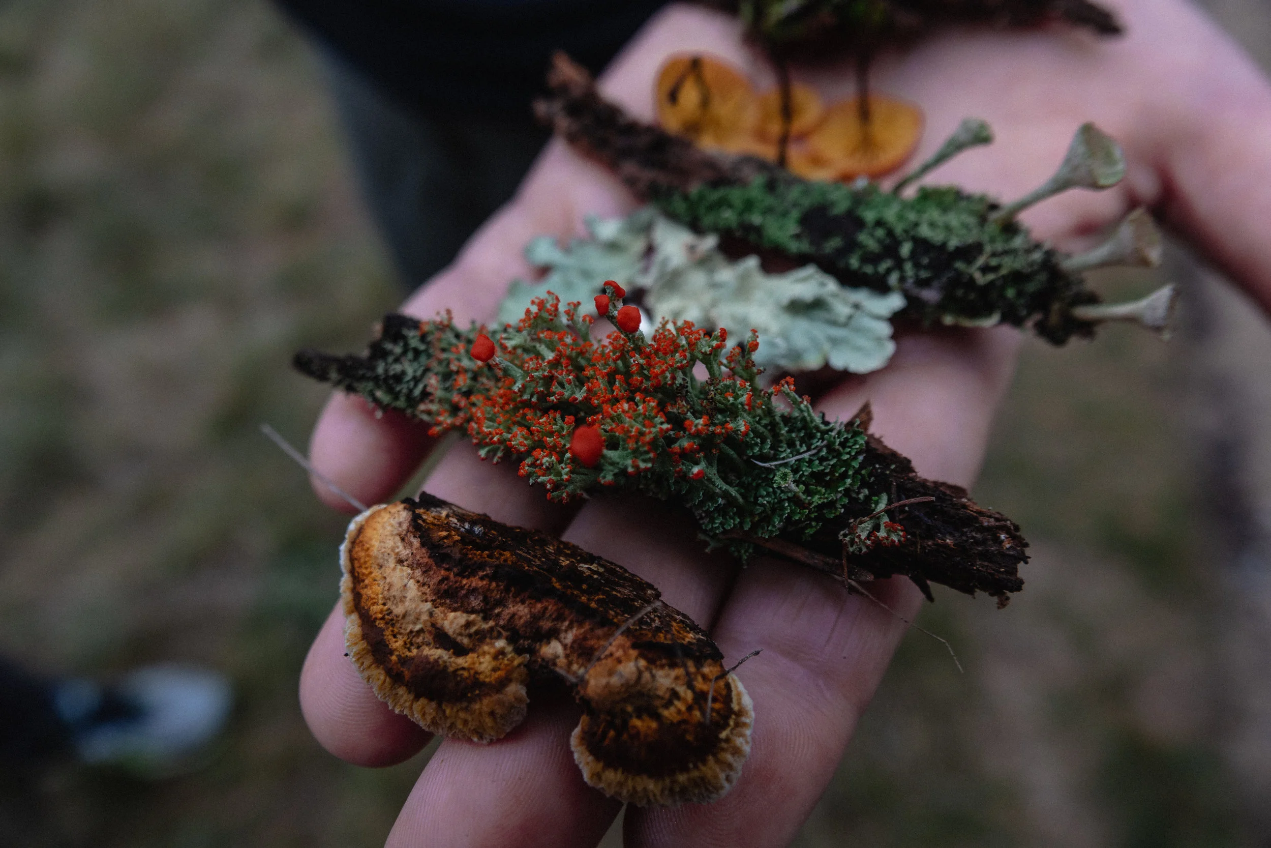 20181007-DSC03235.jpg