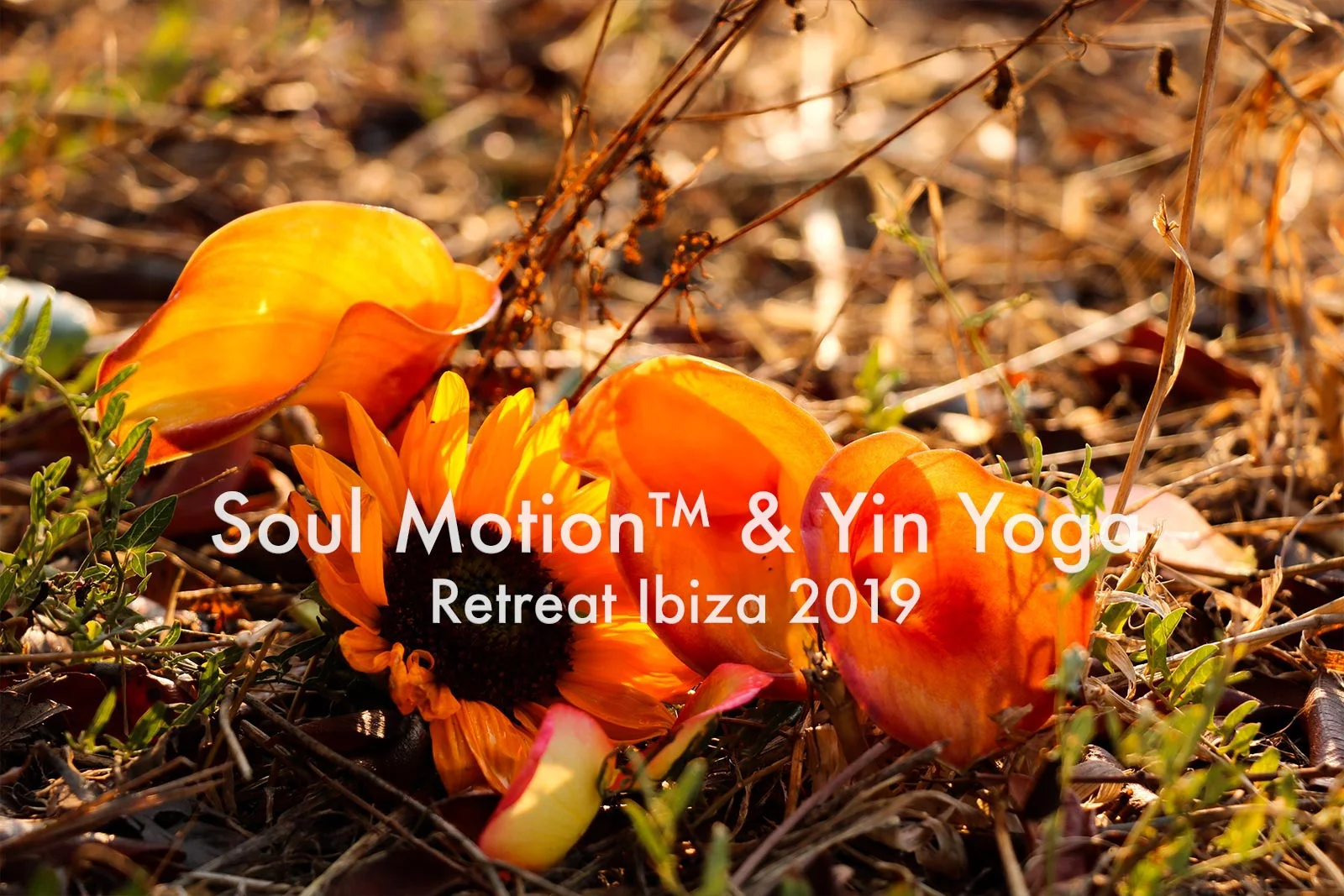Women's Soul Motion™ &amp; Yin Yoga Retreat, Ibiza 2019