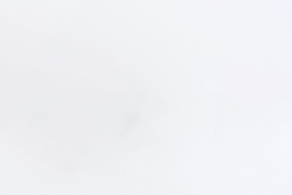 white-background.jpg