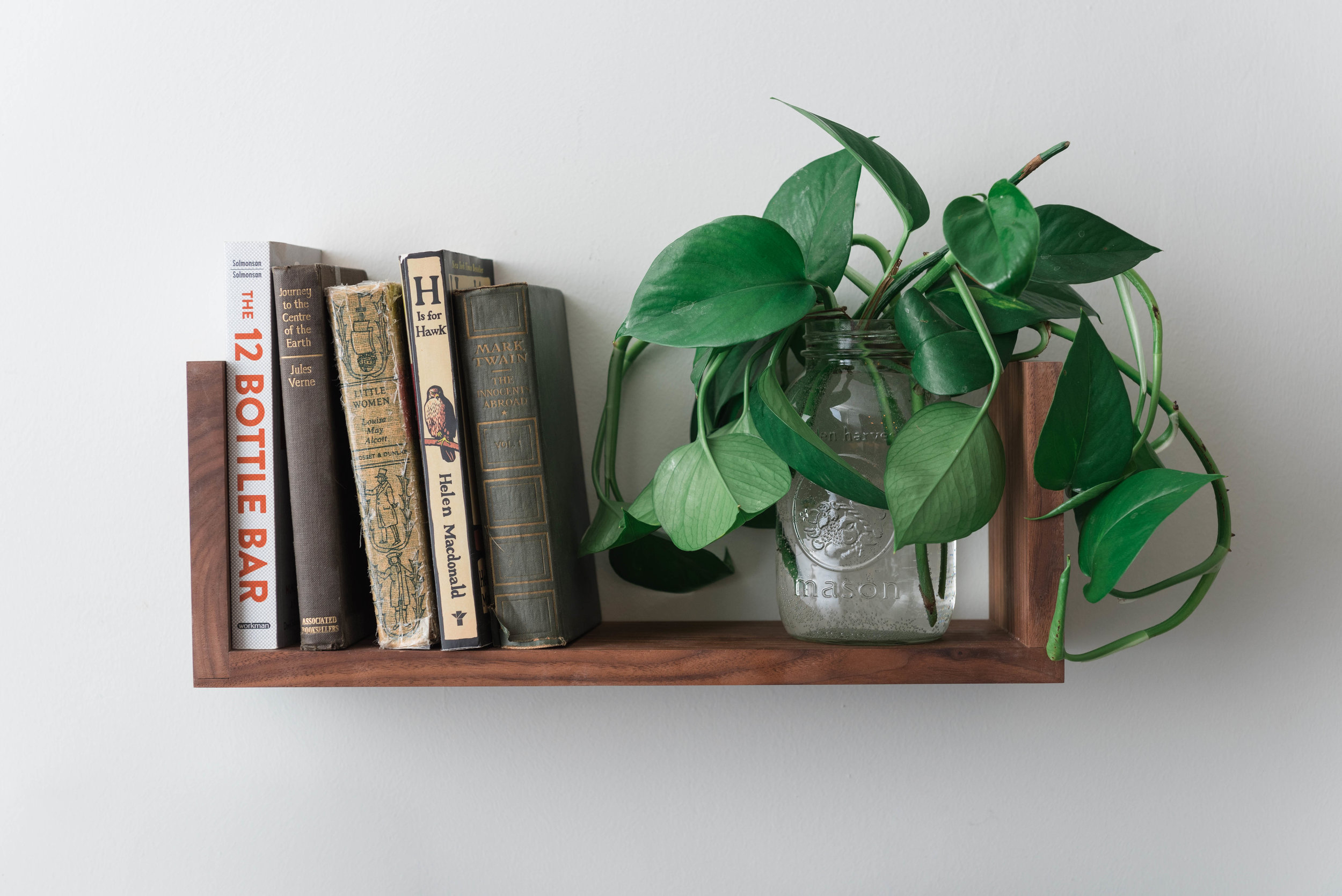 Walnut Floating U Shelf featuring a Pothos plant