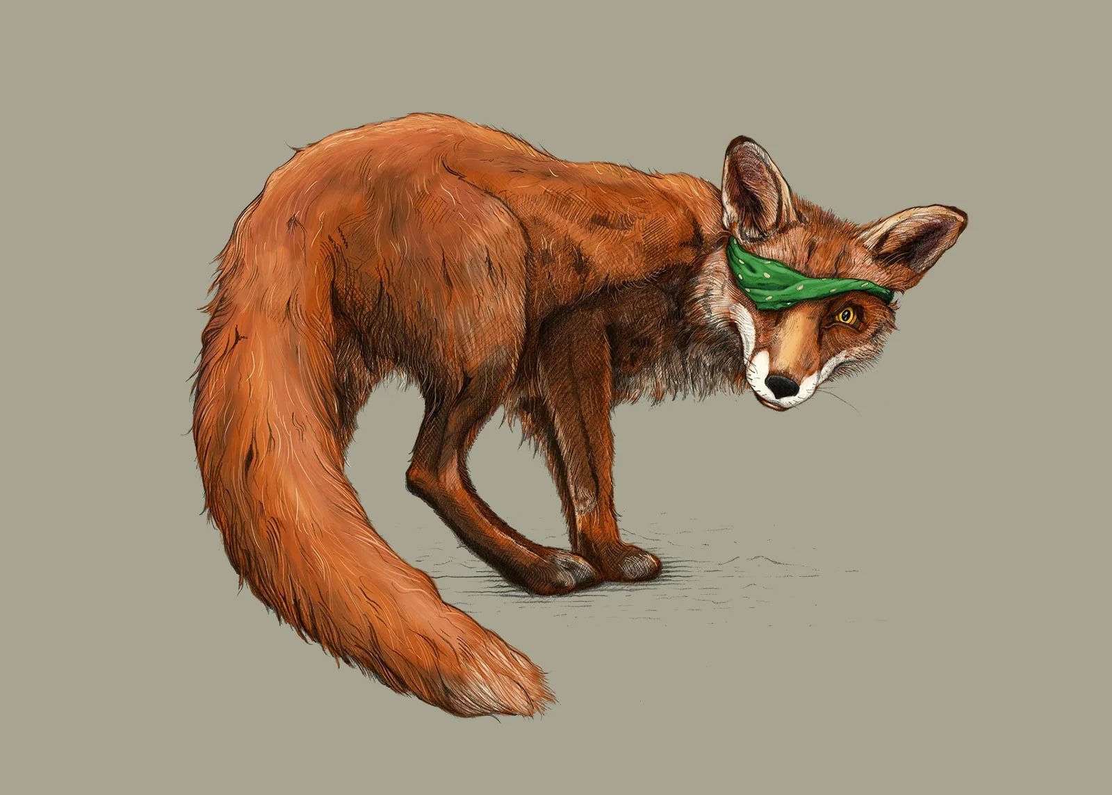 fox_001.jpg