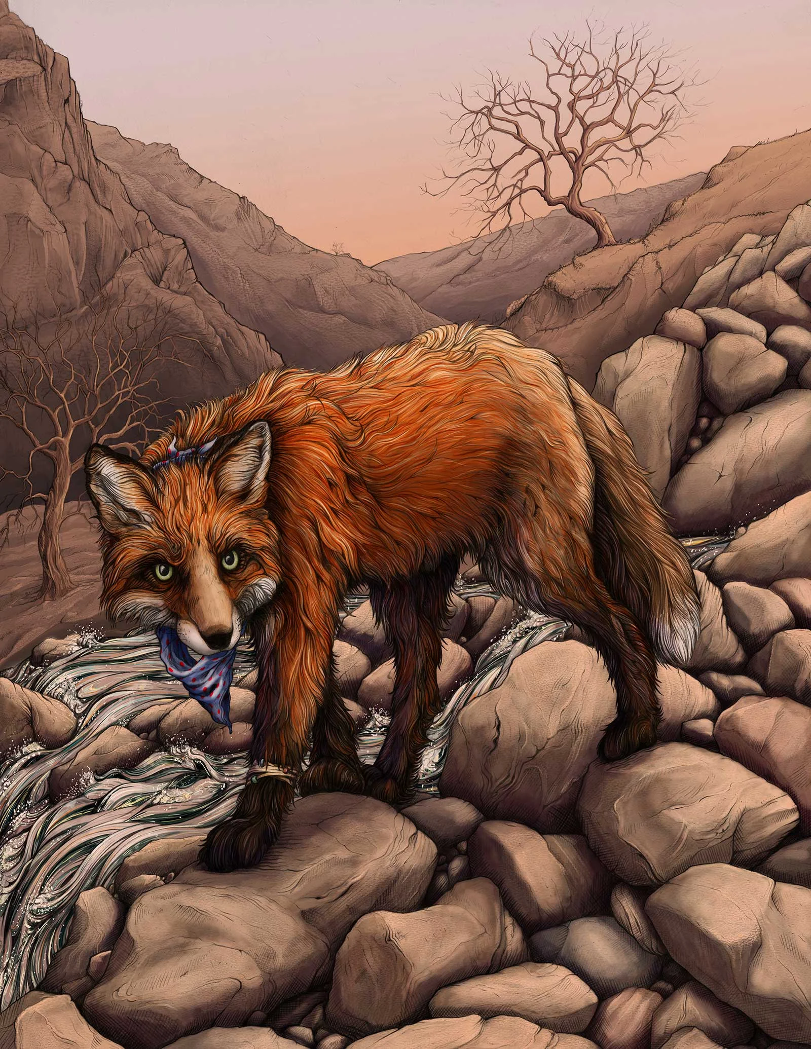 fox_004.jpg