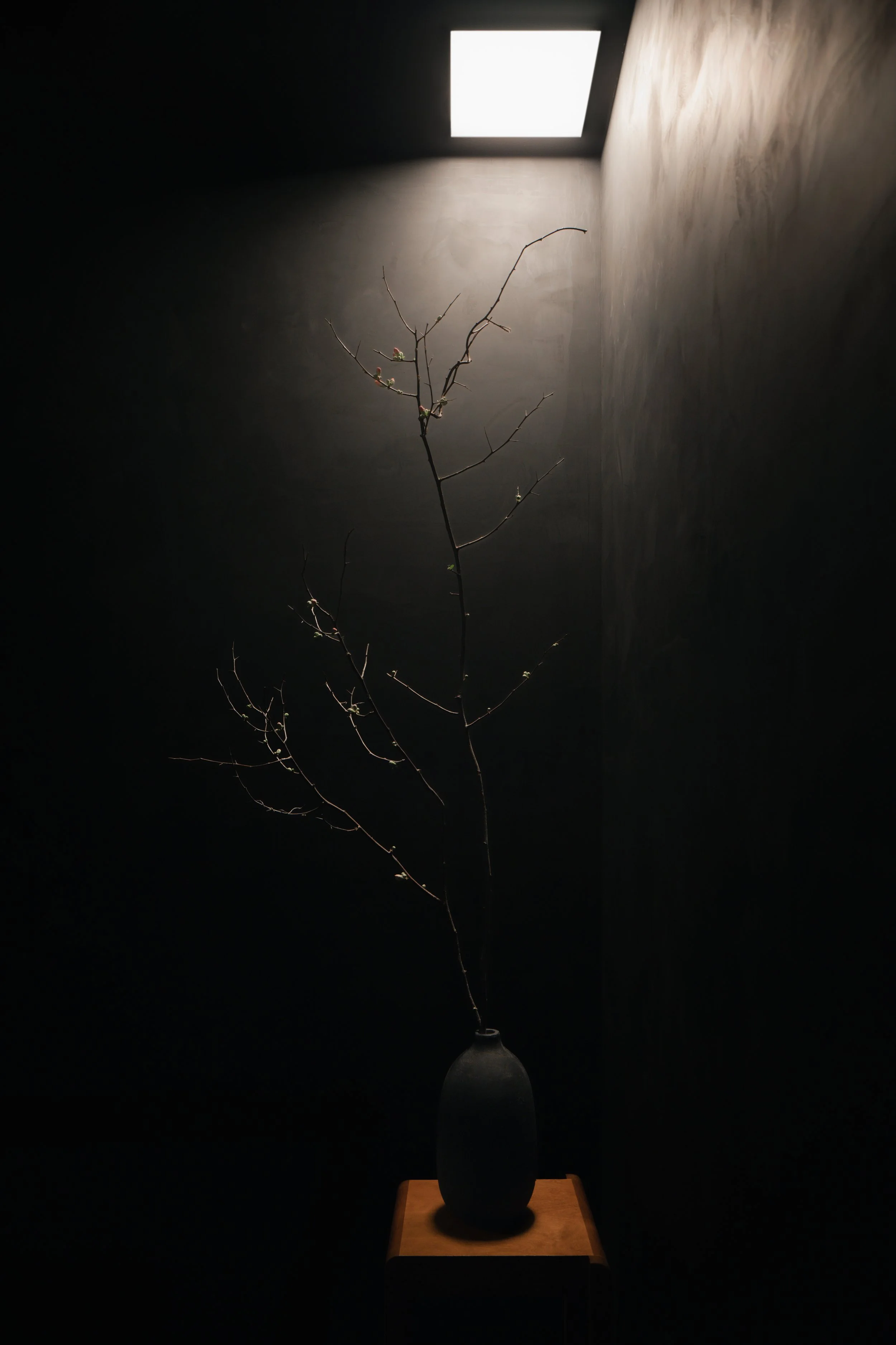 2026.01_NYC_Studio Emy.Saint NY-9715-Edit.jpg