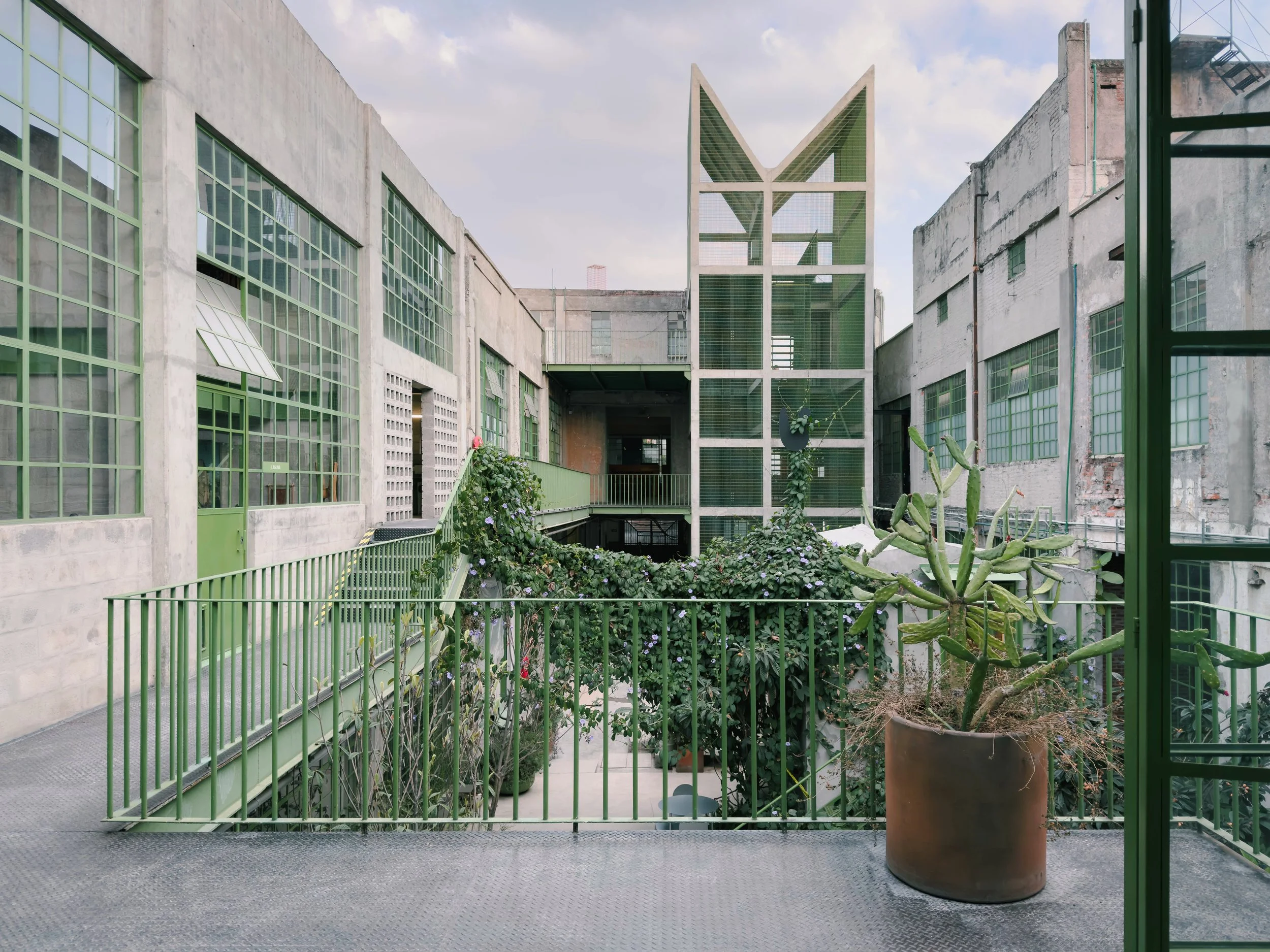 202501_Mexico City_Laguna-1372-VSCO.jpeg