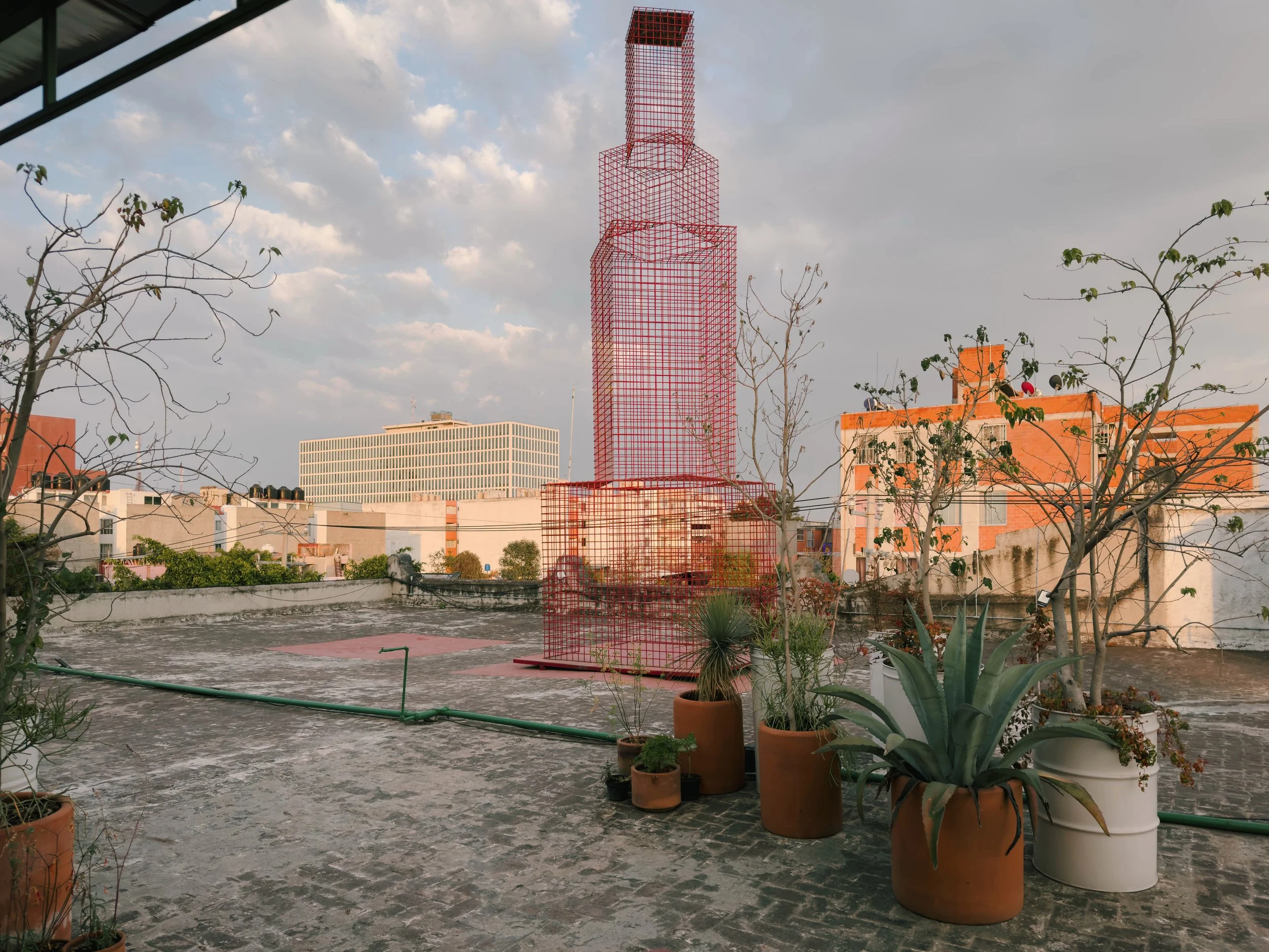 202501_Mexico City_Laguna-1384-VSCO.jpeg