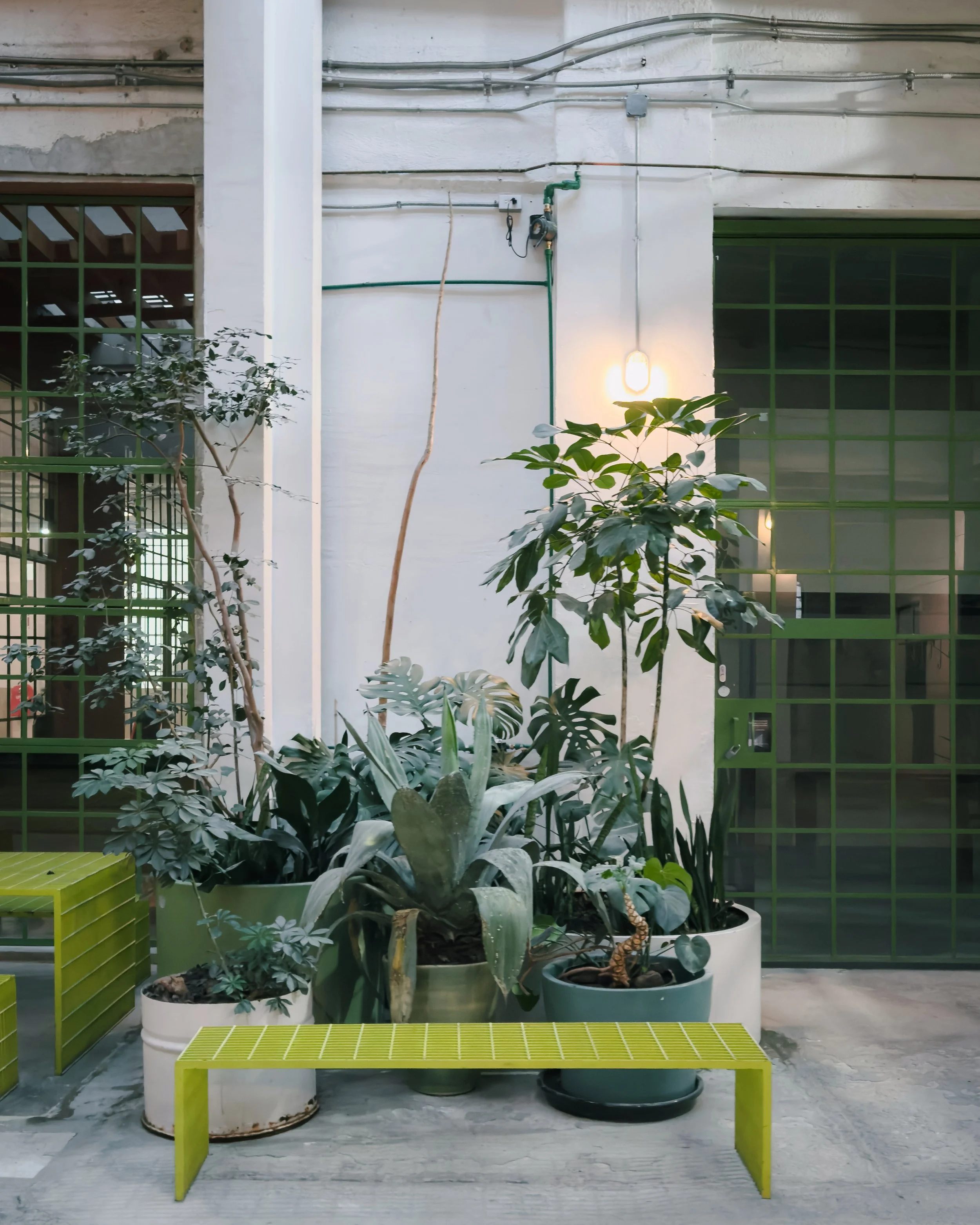 202501_Mexico City_Laguna-1432-VSCO.jpeg