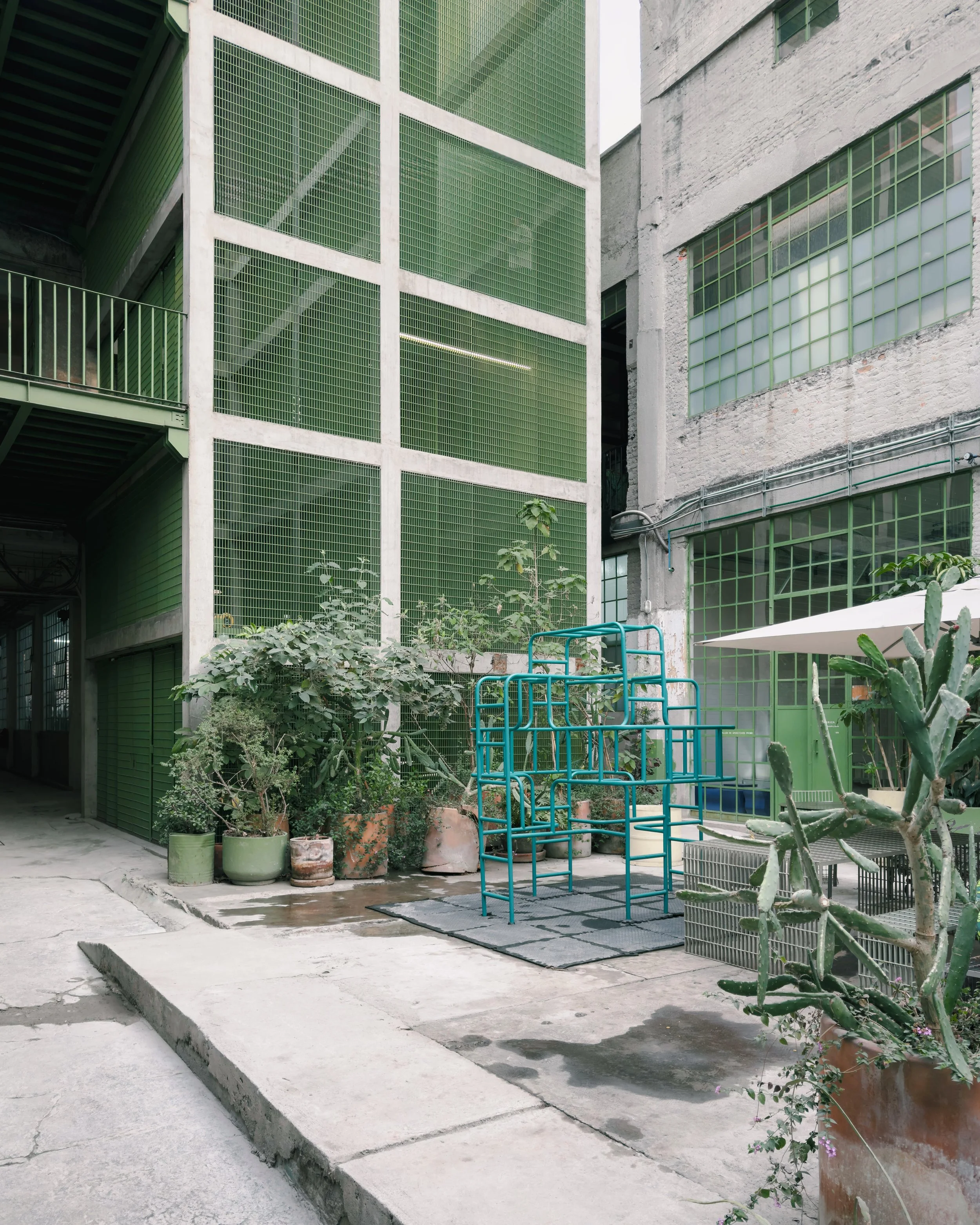 202501_Mexico City_Laguna-1325-VSCO.jpeg