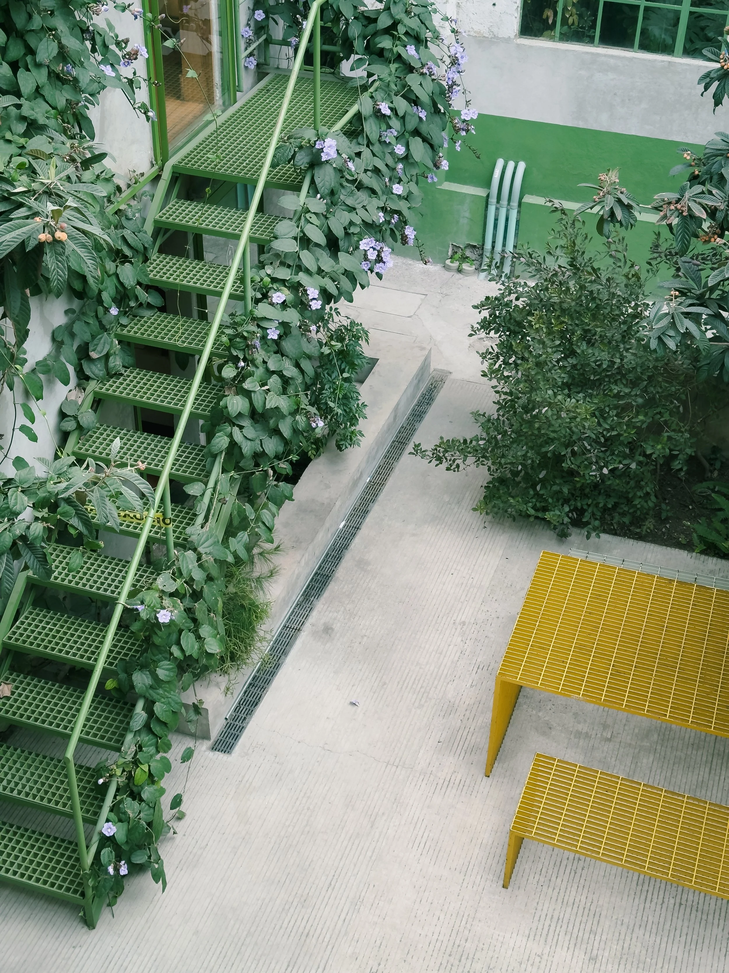 202501_Mexico City_Laguna-1374-VSCO.jpeg