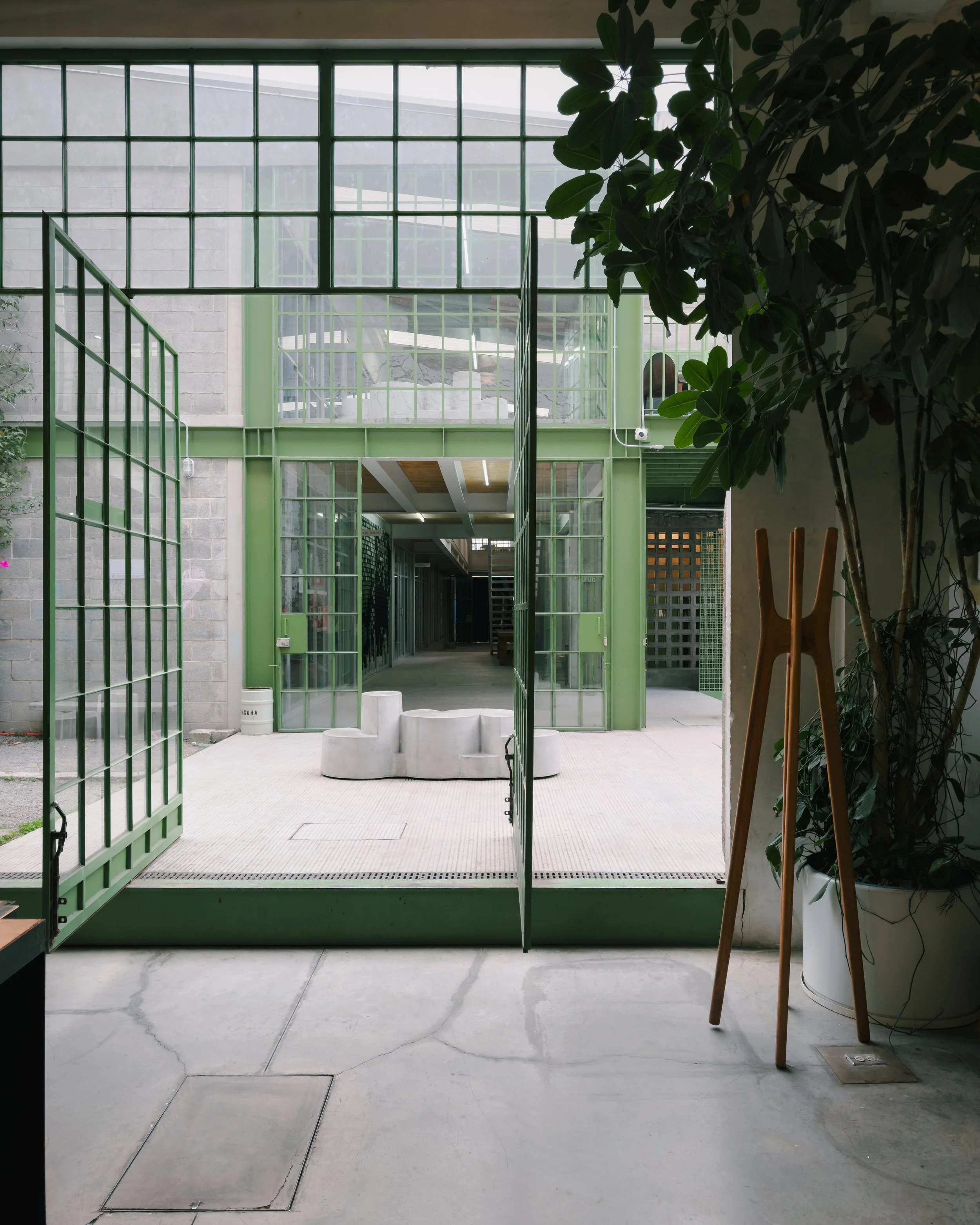 202501_Mexico City_Laguna-1333-VSCO.jpeg