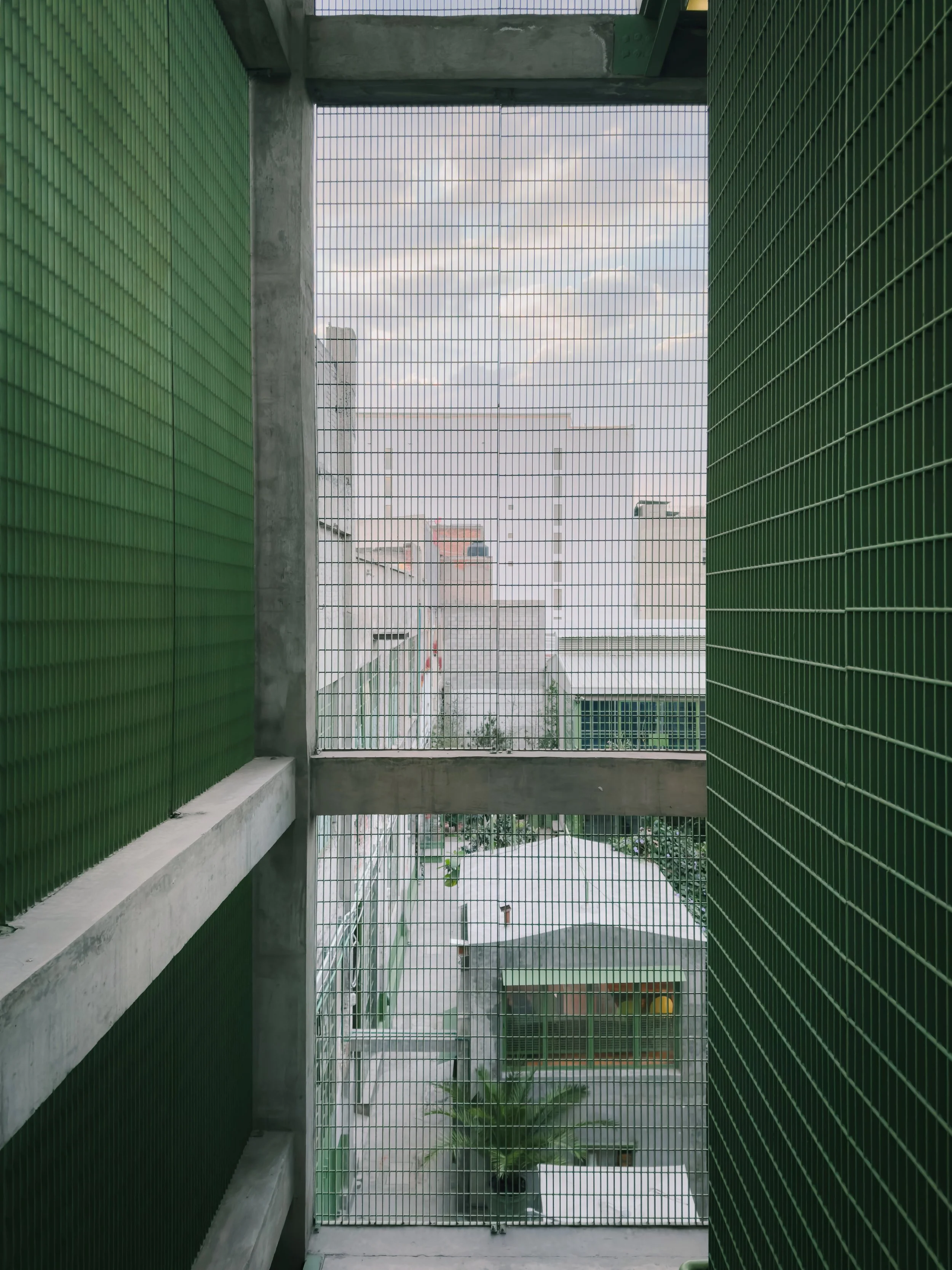 202501_Mexico City_Laguna-1421-VSCO.jpeg