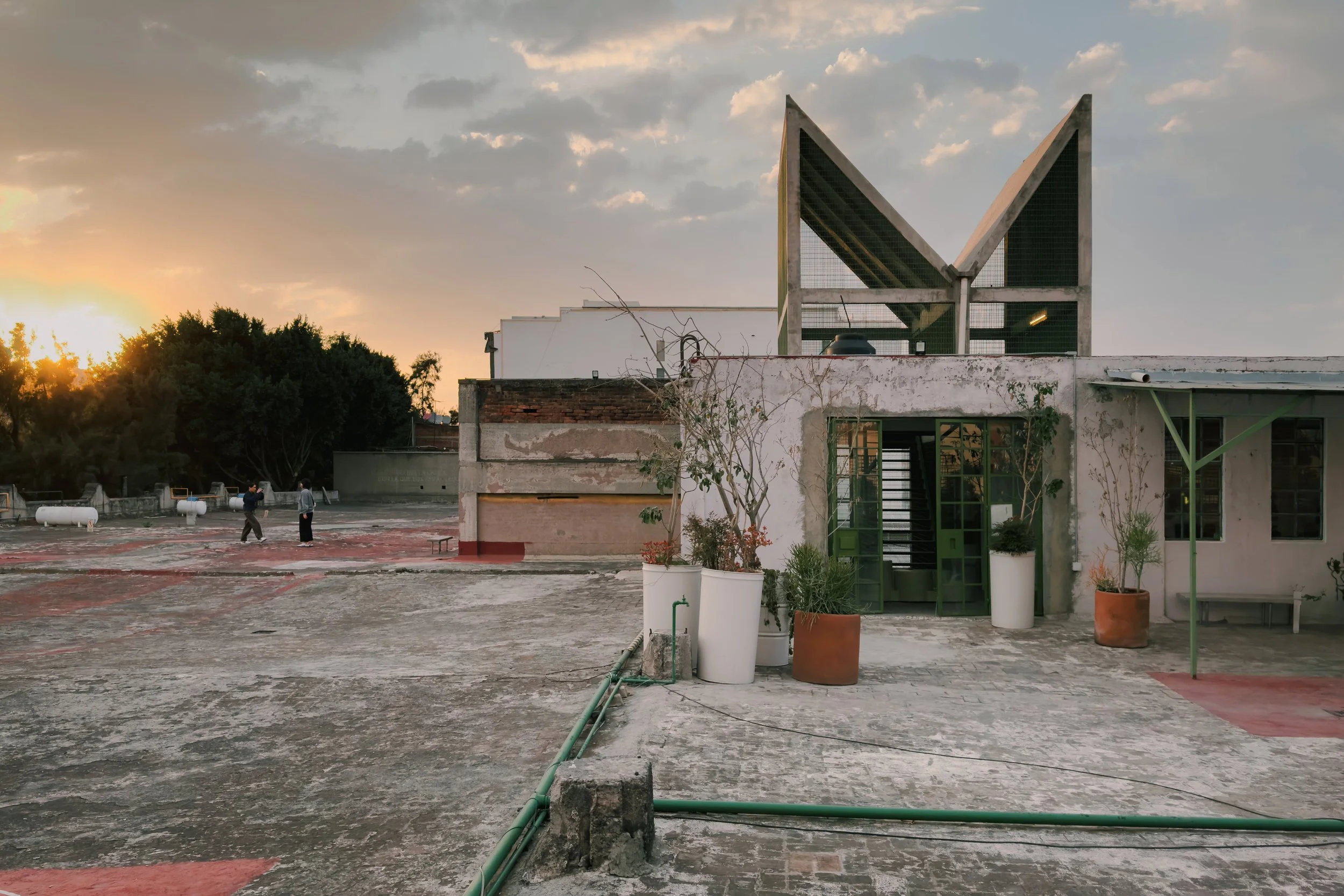 202501_Mexico City_Laguna-1418-VSCO.jpeg