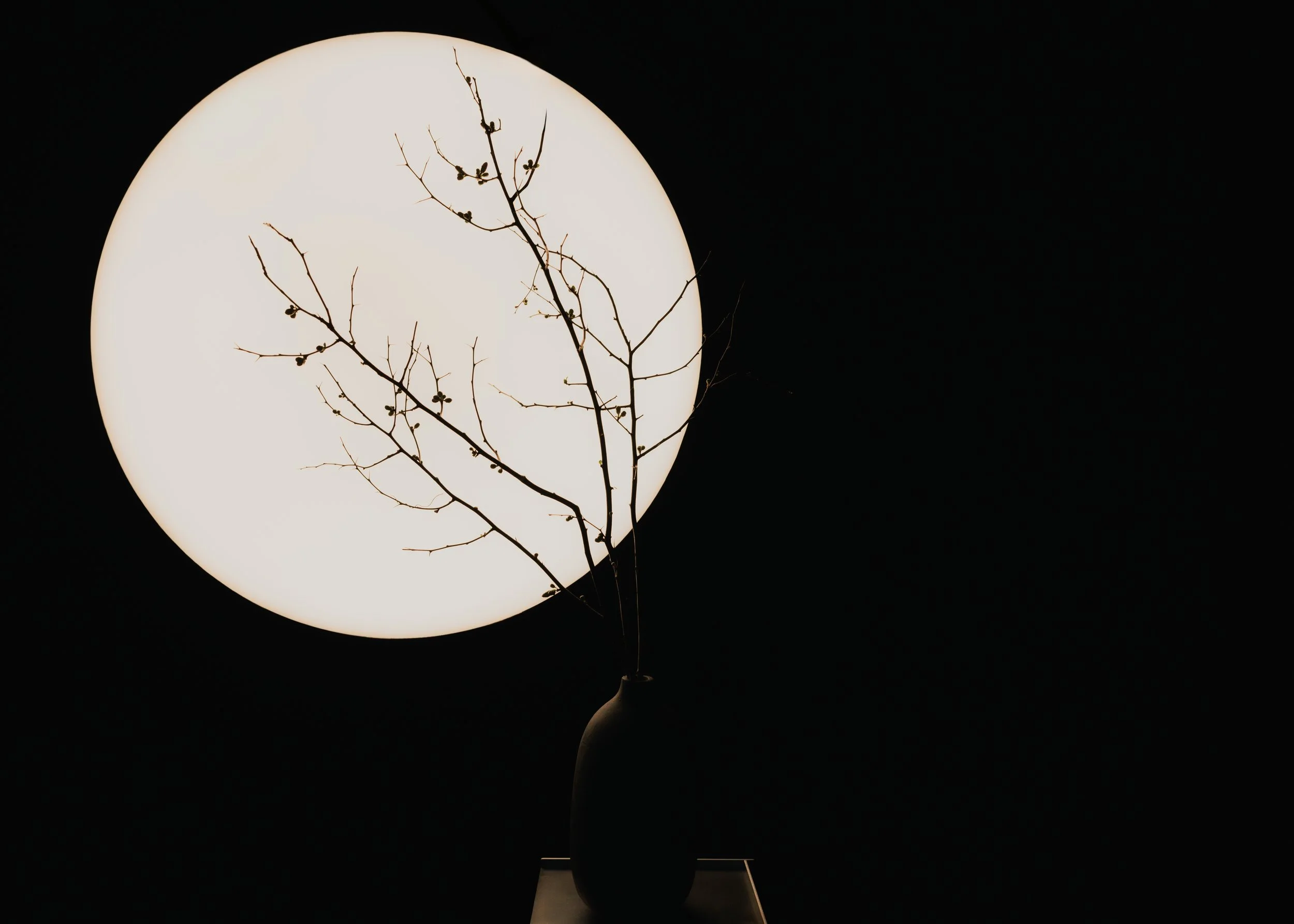 2026.01_NYC_Studio Emy.Saint NY-9818-Edit.jpg