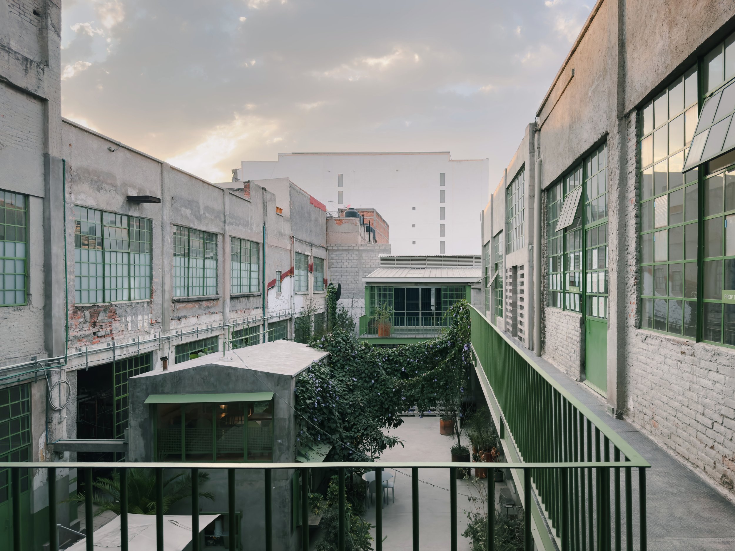 202501_Mexico City_Laguna-1376-VSCO.jpeg