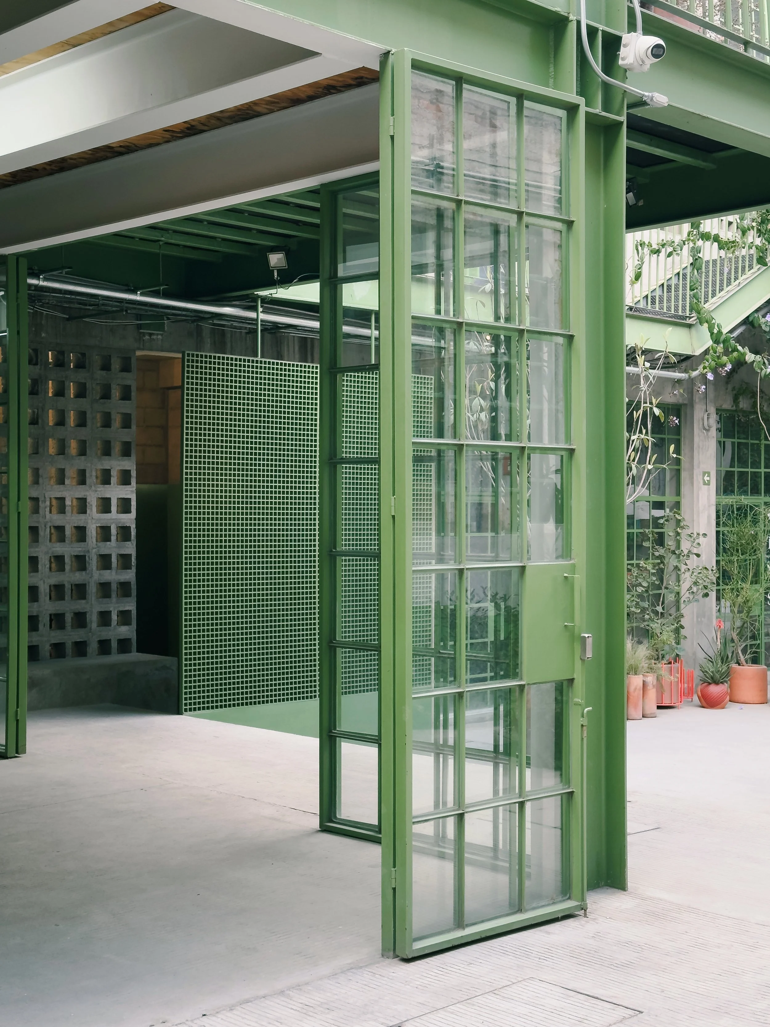 202501_Mexico City_Laguna-1349-VSCO.jpeg