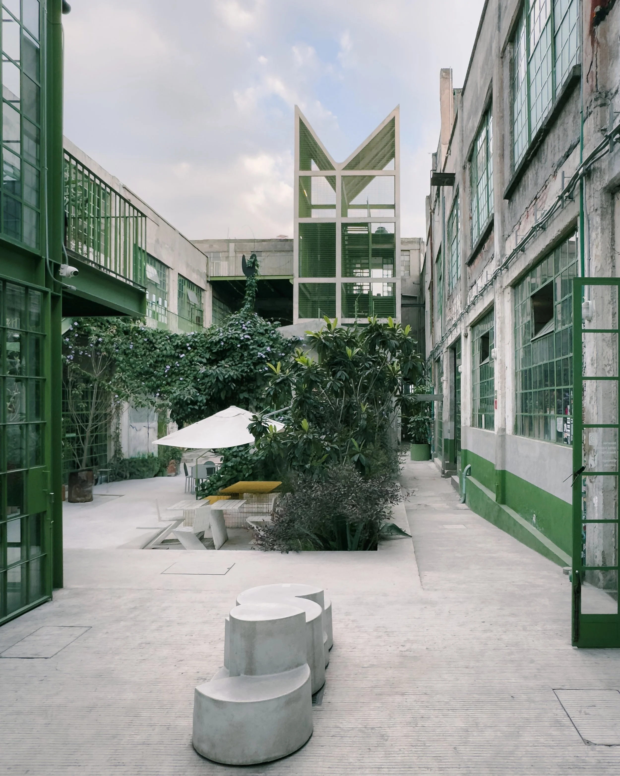 202501_Mexico City_Laguna-1351-VSCO.jpeg