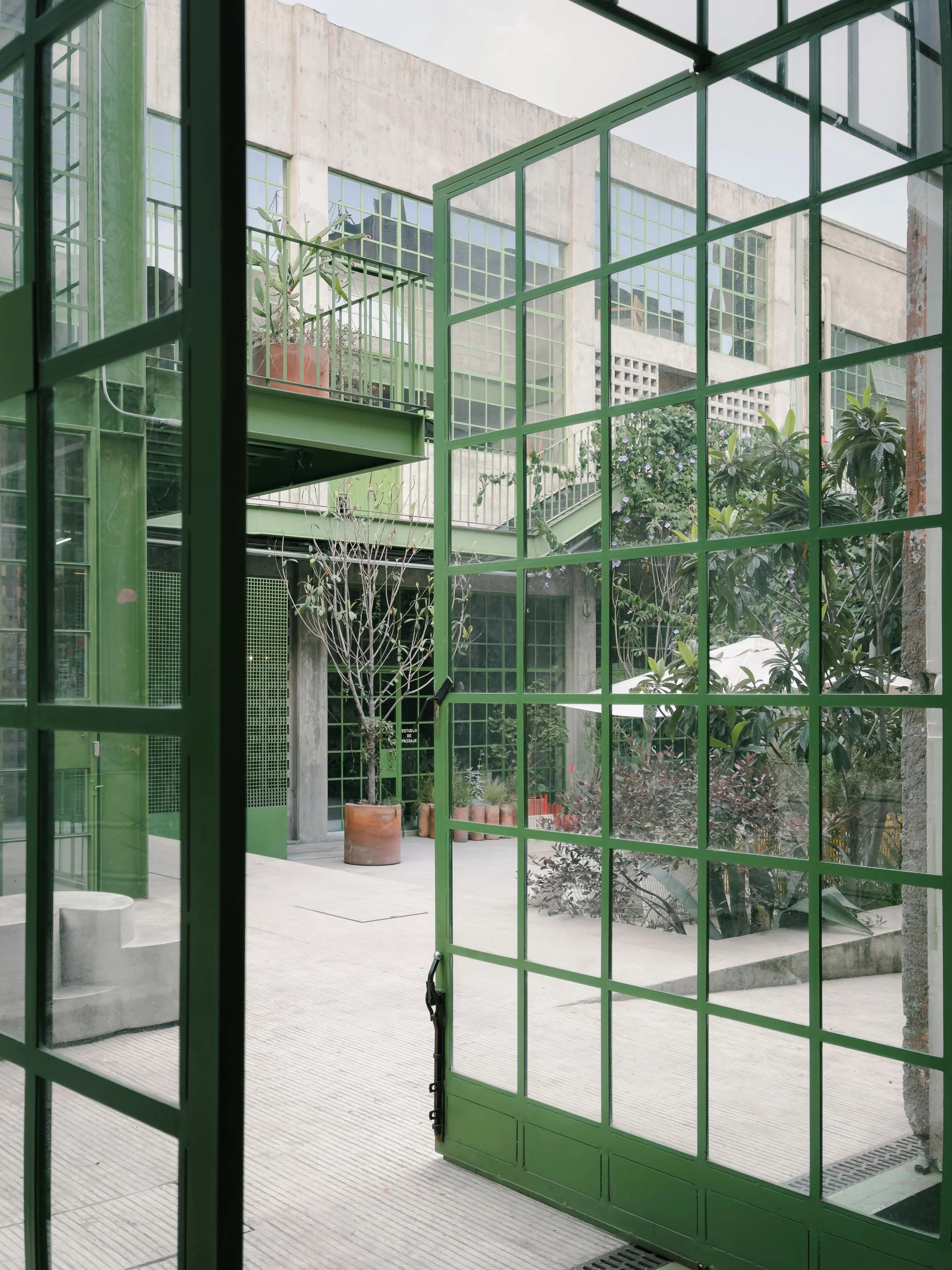 202501_Mexico City_Laguna-1343-VSCO.jpeg