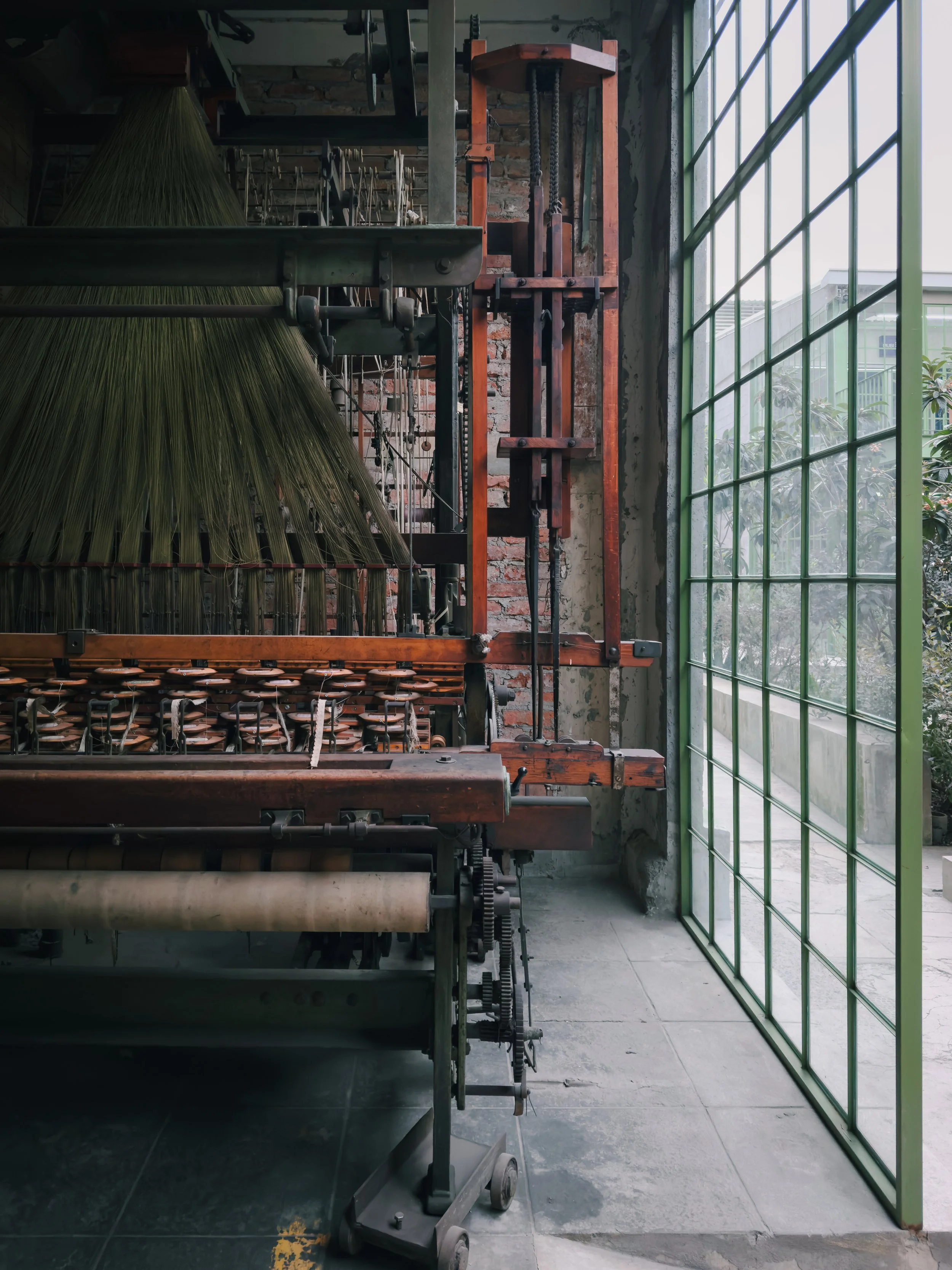 202501_Mexico City_Laguna-1429-VSCO.jpeg