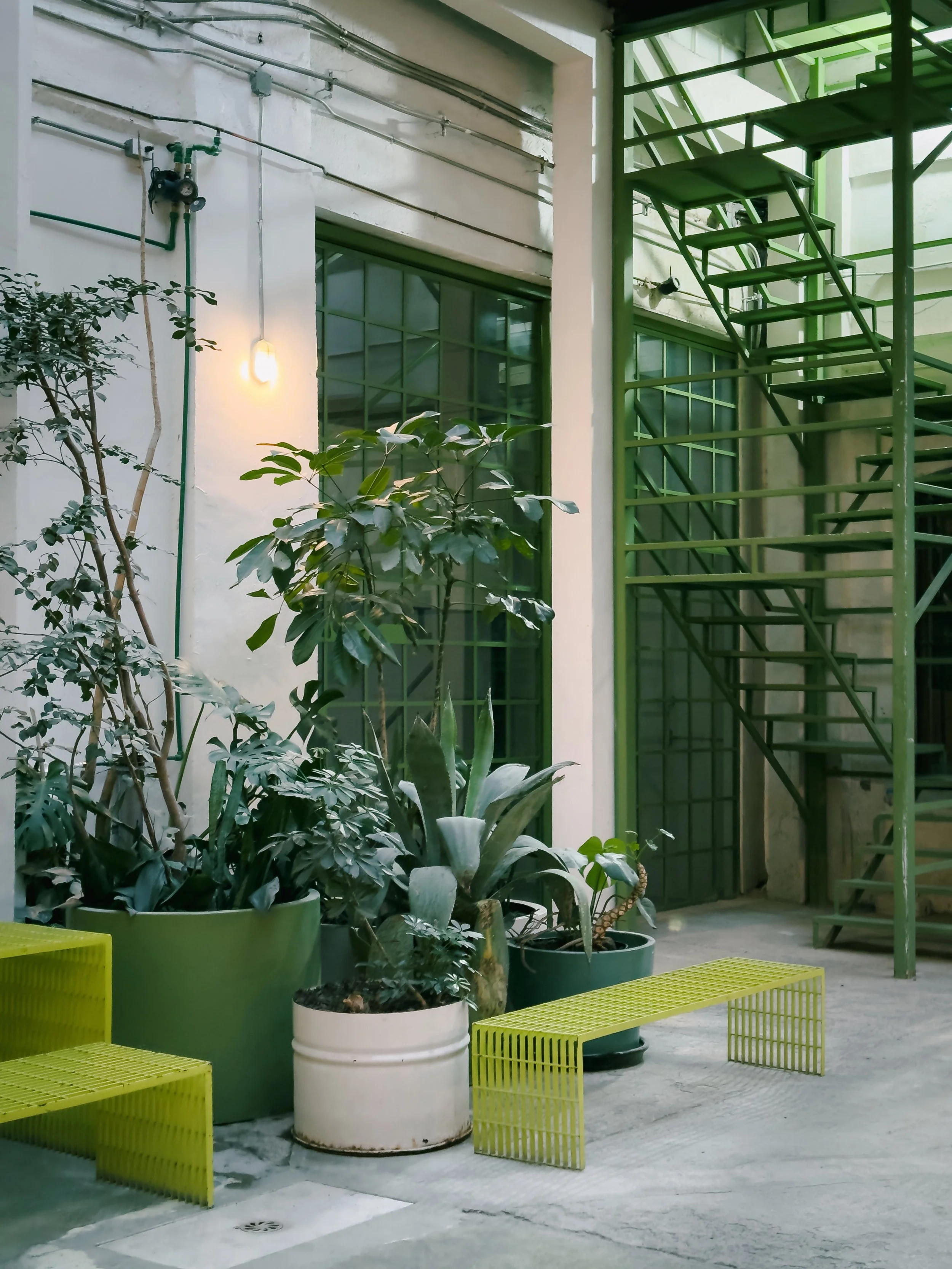 202501_Mexico City_Laguna-1433-VSCO.jpeg