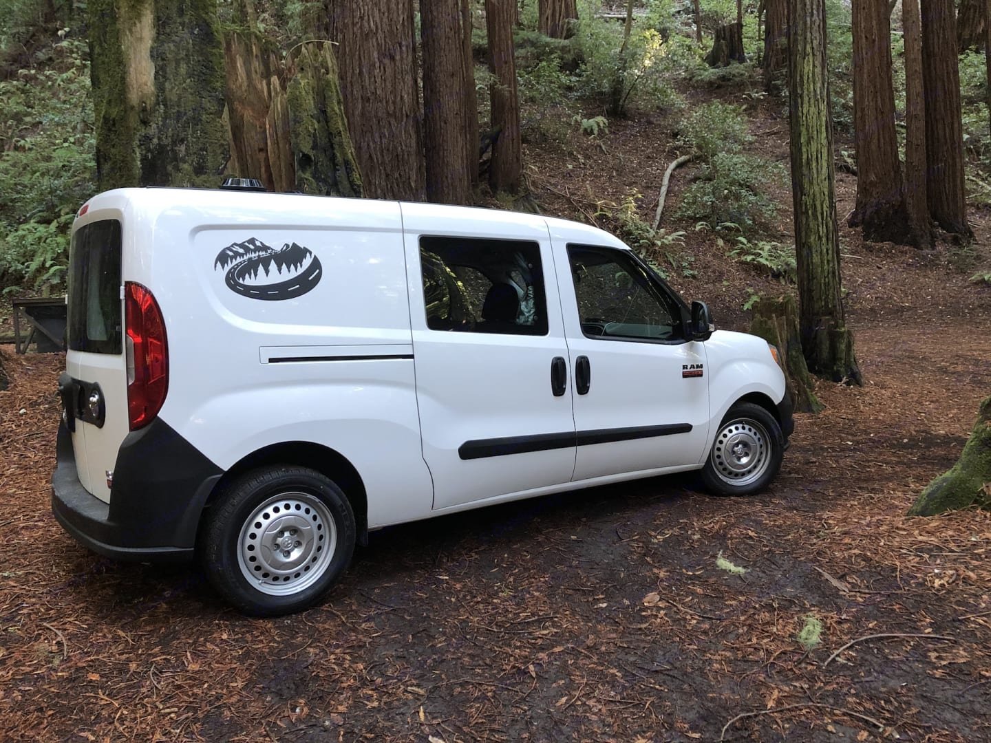 van in the redwoods.jpeg