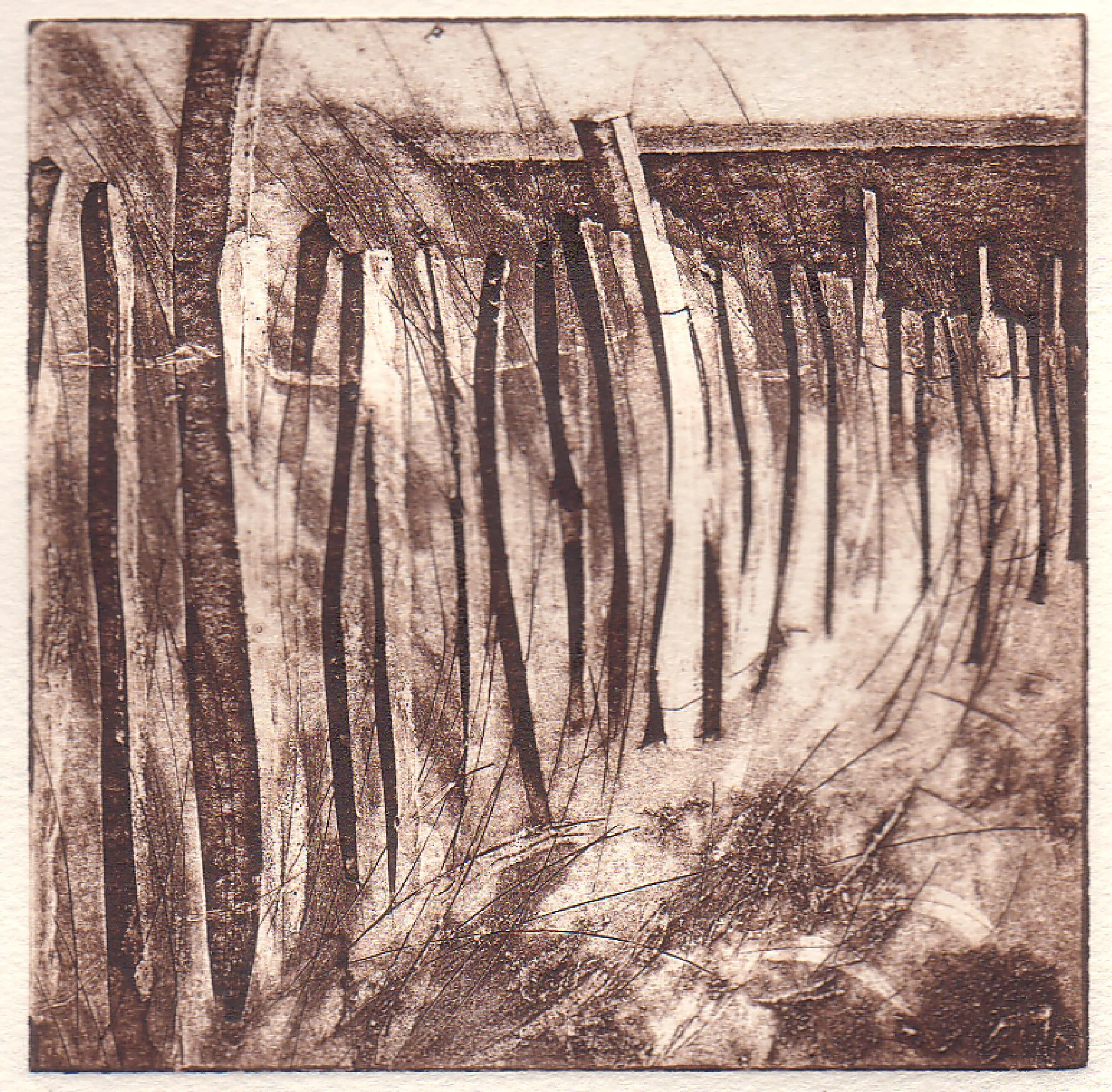 Sand Dunes