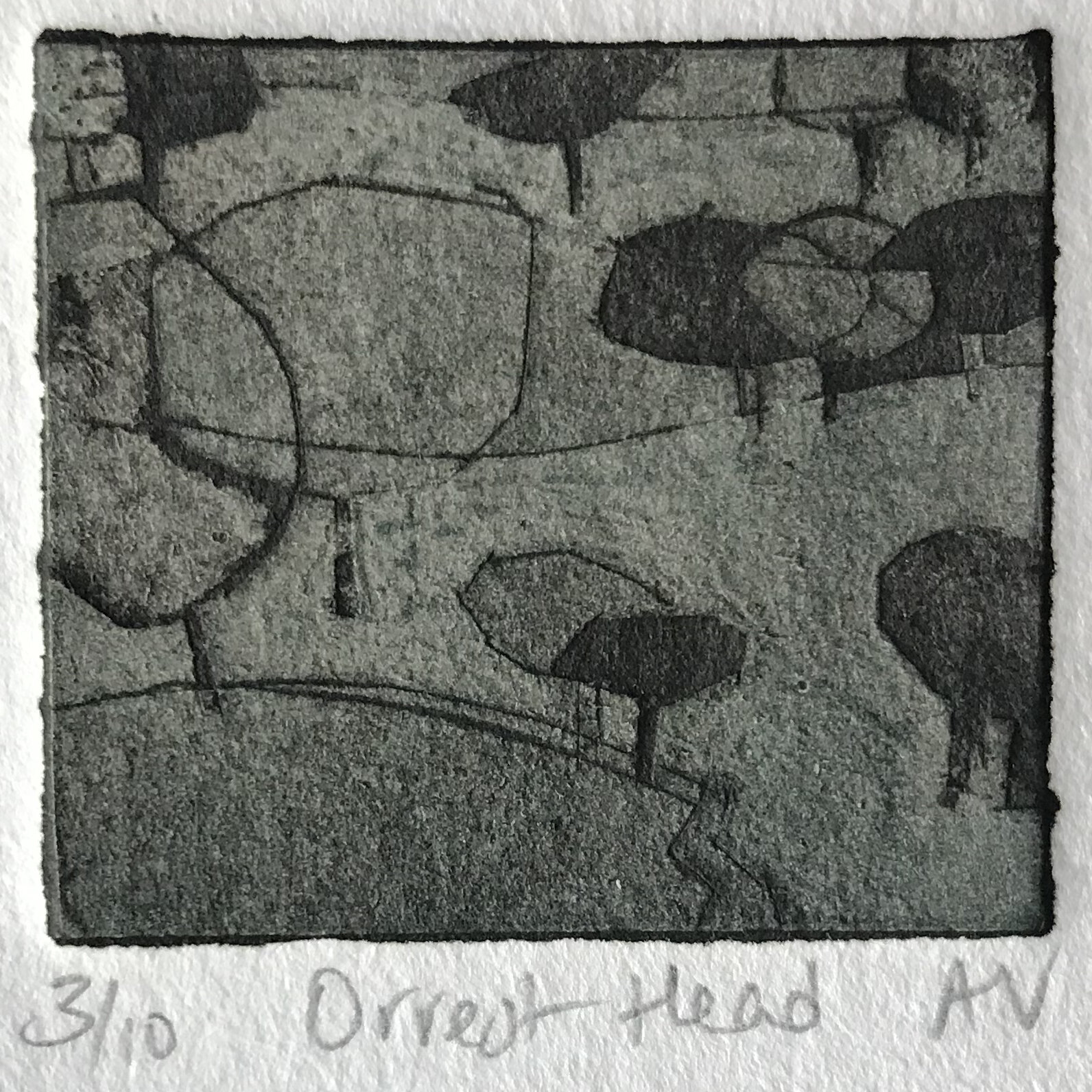 Orrest Head (collagraph)