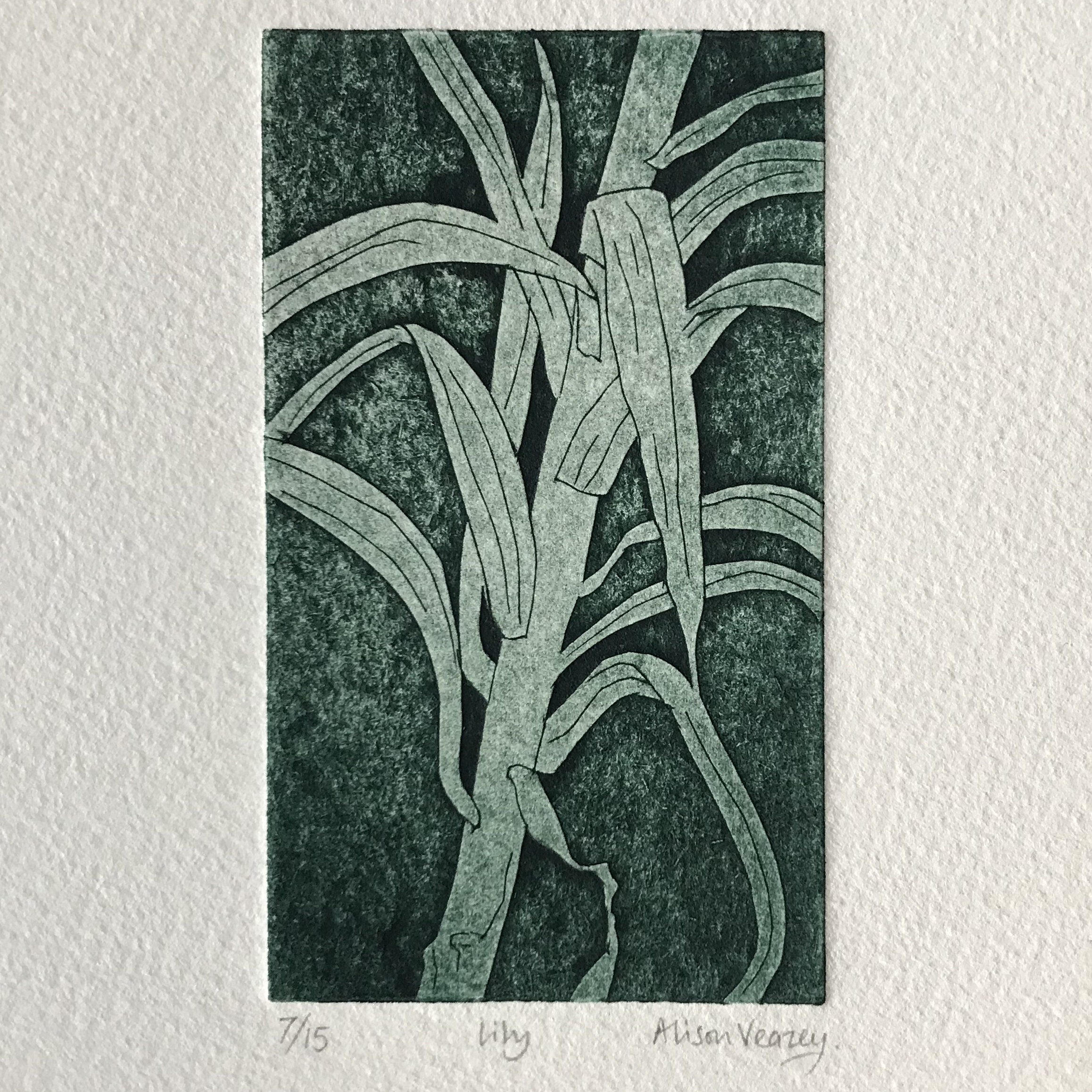 Lily (collagraph)