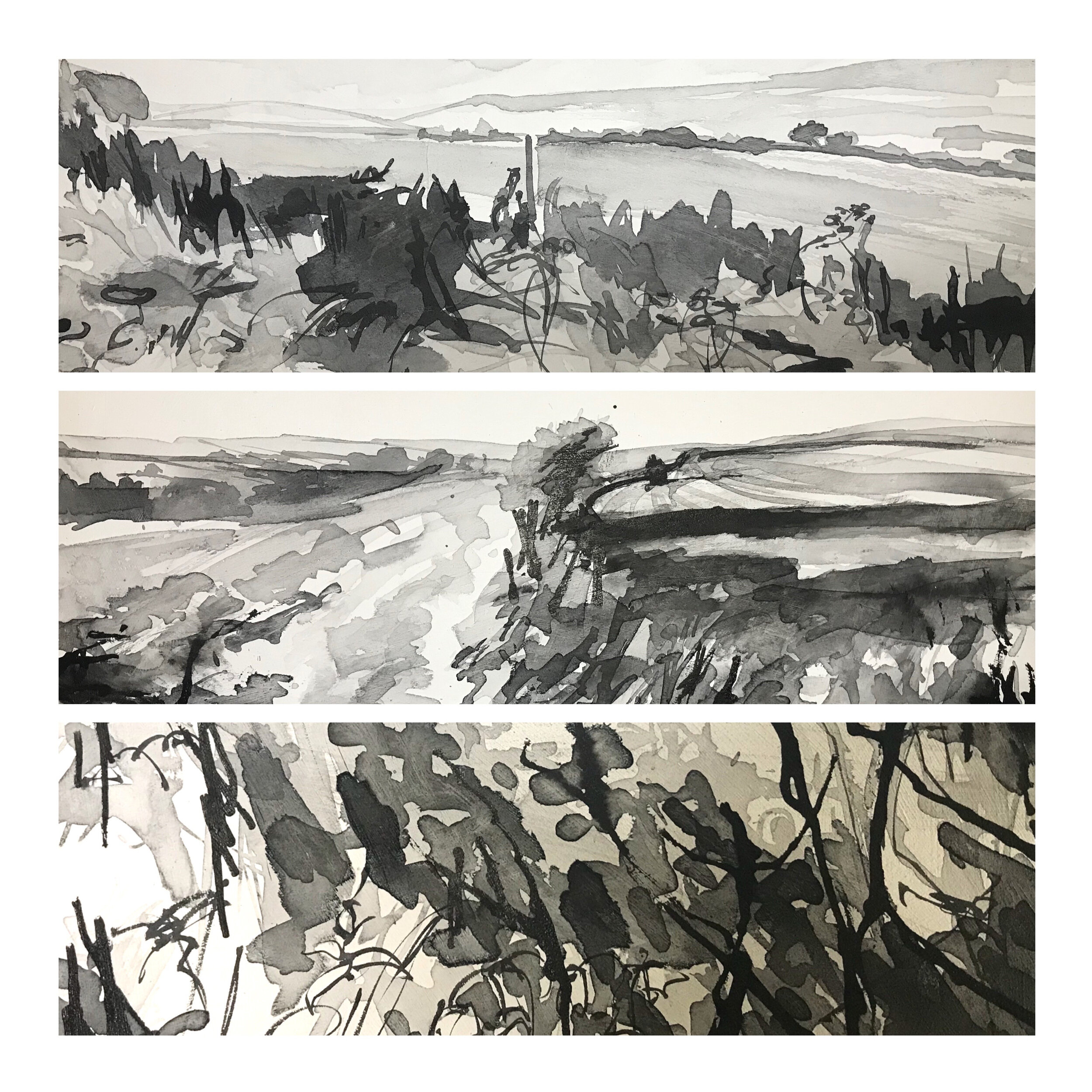 Lockdown Walks Triptych (greetings card)