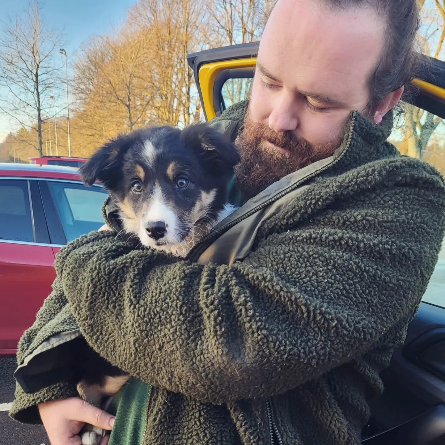 Well, international dog day apparently... Here's a few of the best dogs... Some sad stories, all good memories, the best doggos

#internationaldogday #internationaldogday❤️ #bordercollies #dogs #doggos #puppiesofinstagram #draenogcountryside #woof #b