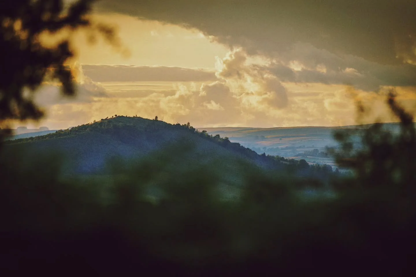 Tor y Foel, Llangorse...

#southwales #toryfoel #llangorse #llynsyfaddan #draenogcountryside #wales