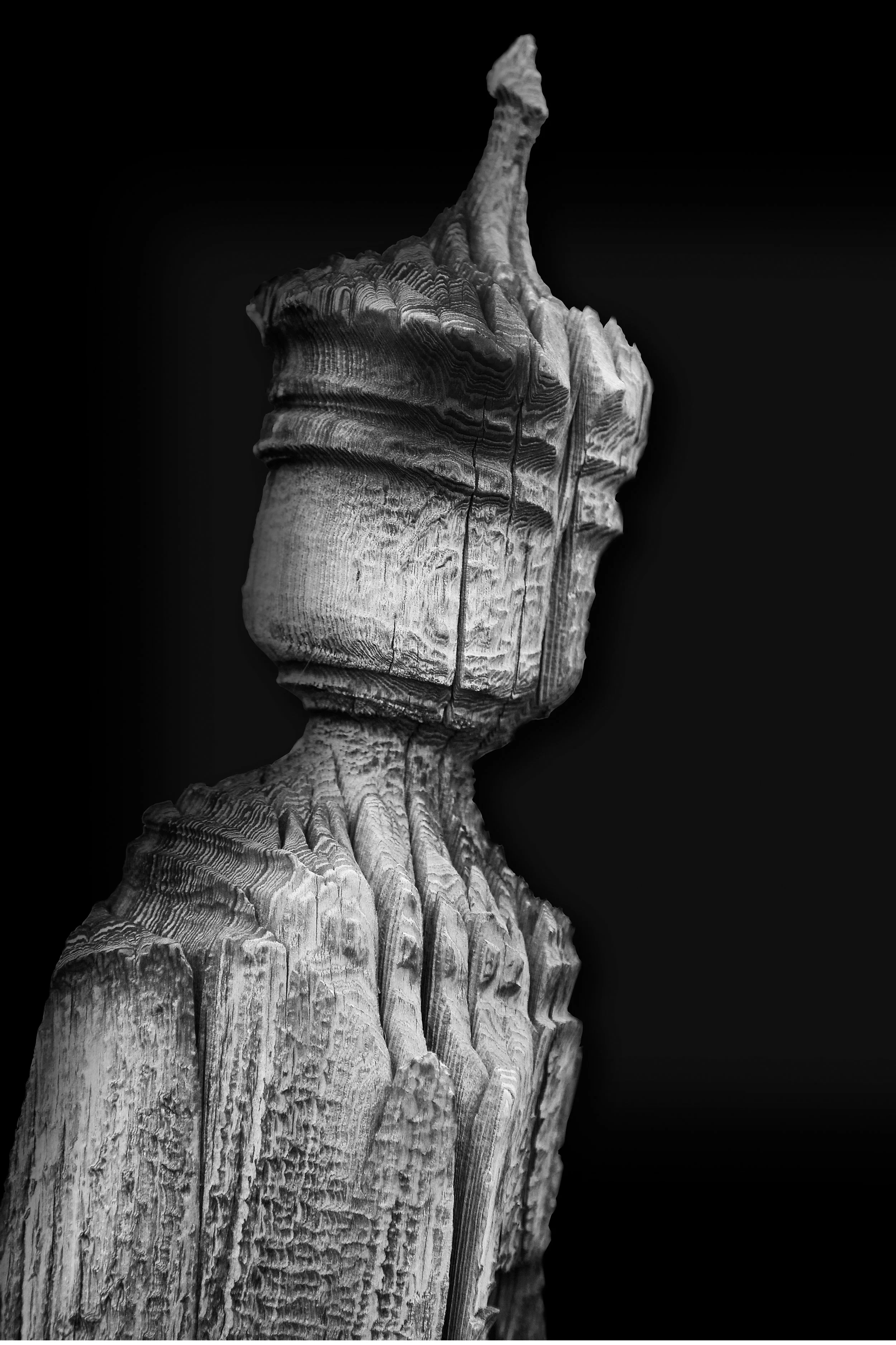 test3.jpg