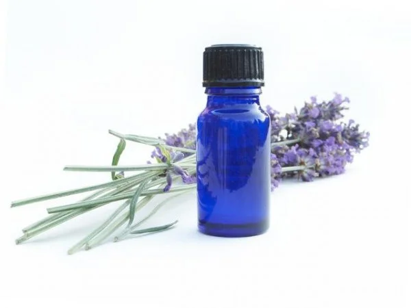 Lavendar-Essential-Oil-Image-e1455405201688.jpg