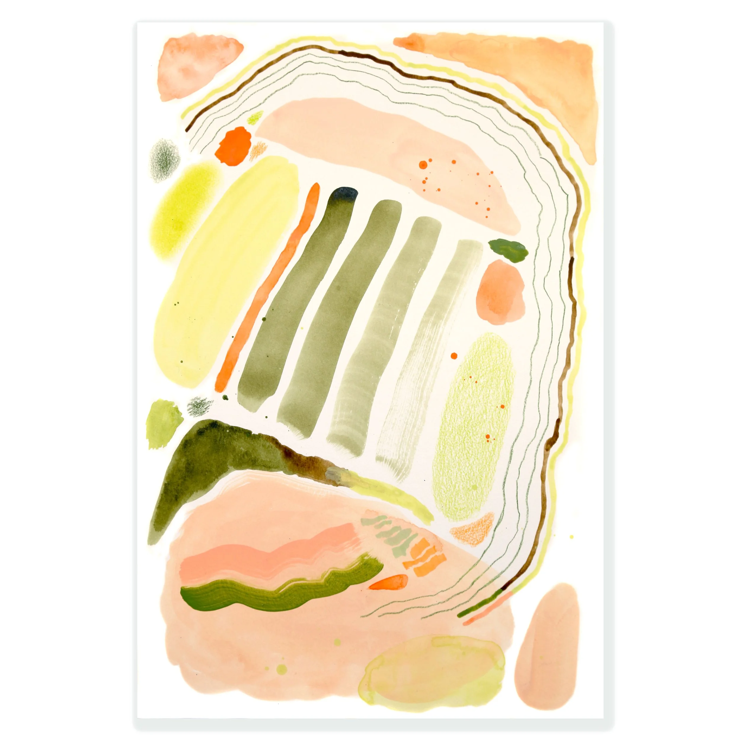 JoshuaTreeSeriesIIIwhite backdrop.jpg