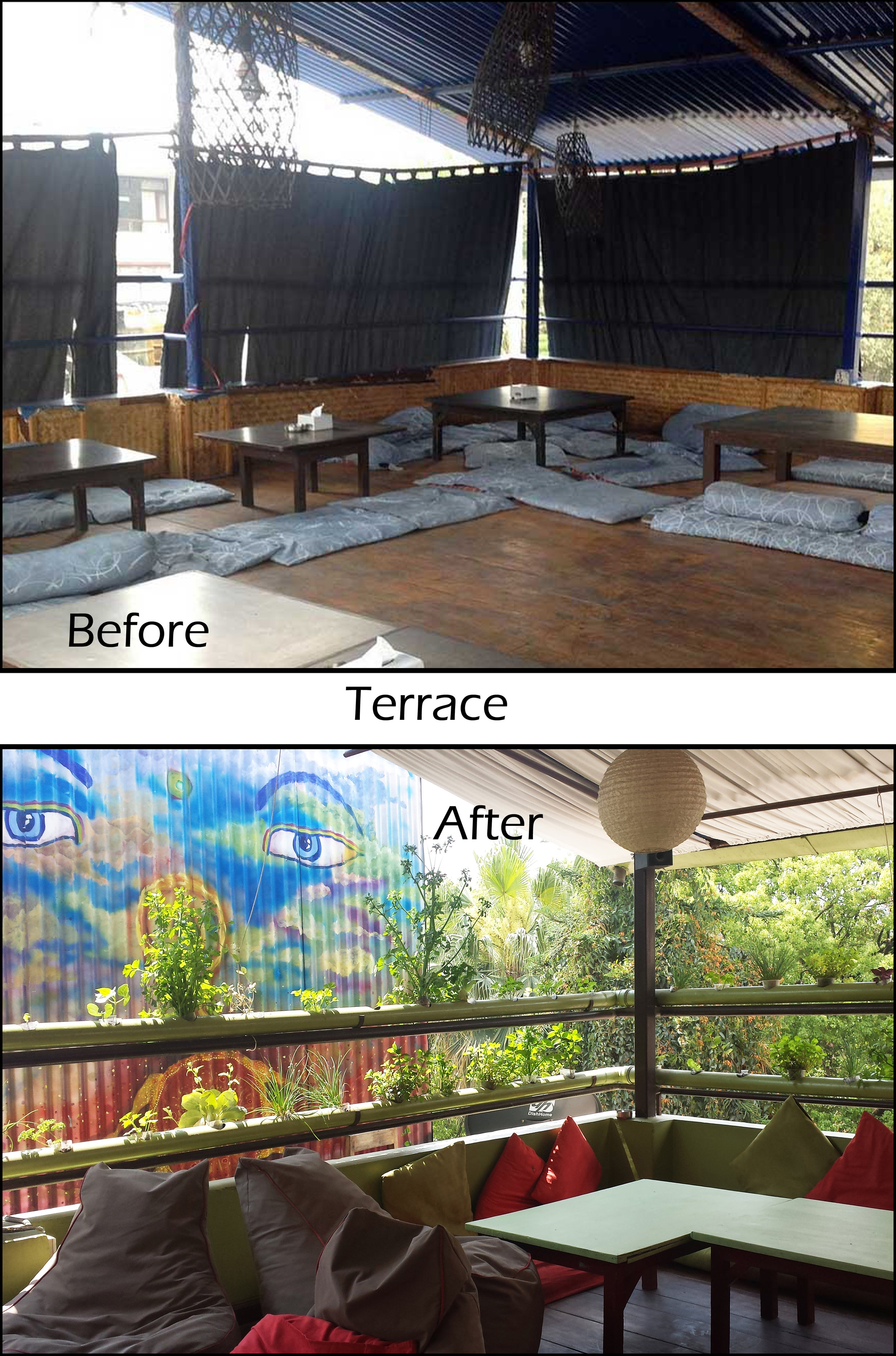 Terrace before and after.jpg