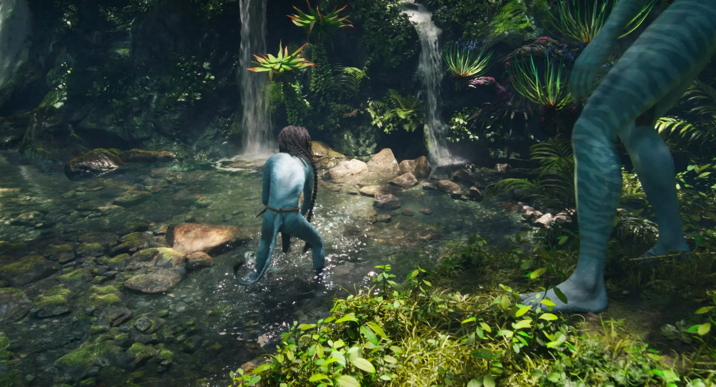 4k-avatar2-movie-screencaps.com-190.webp