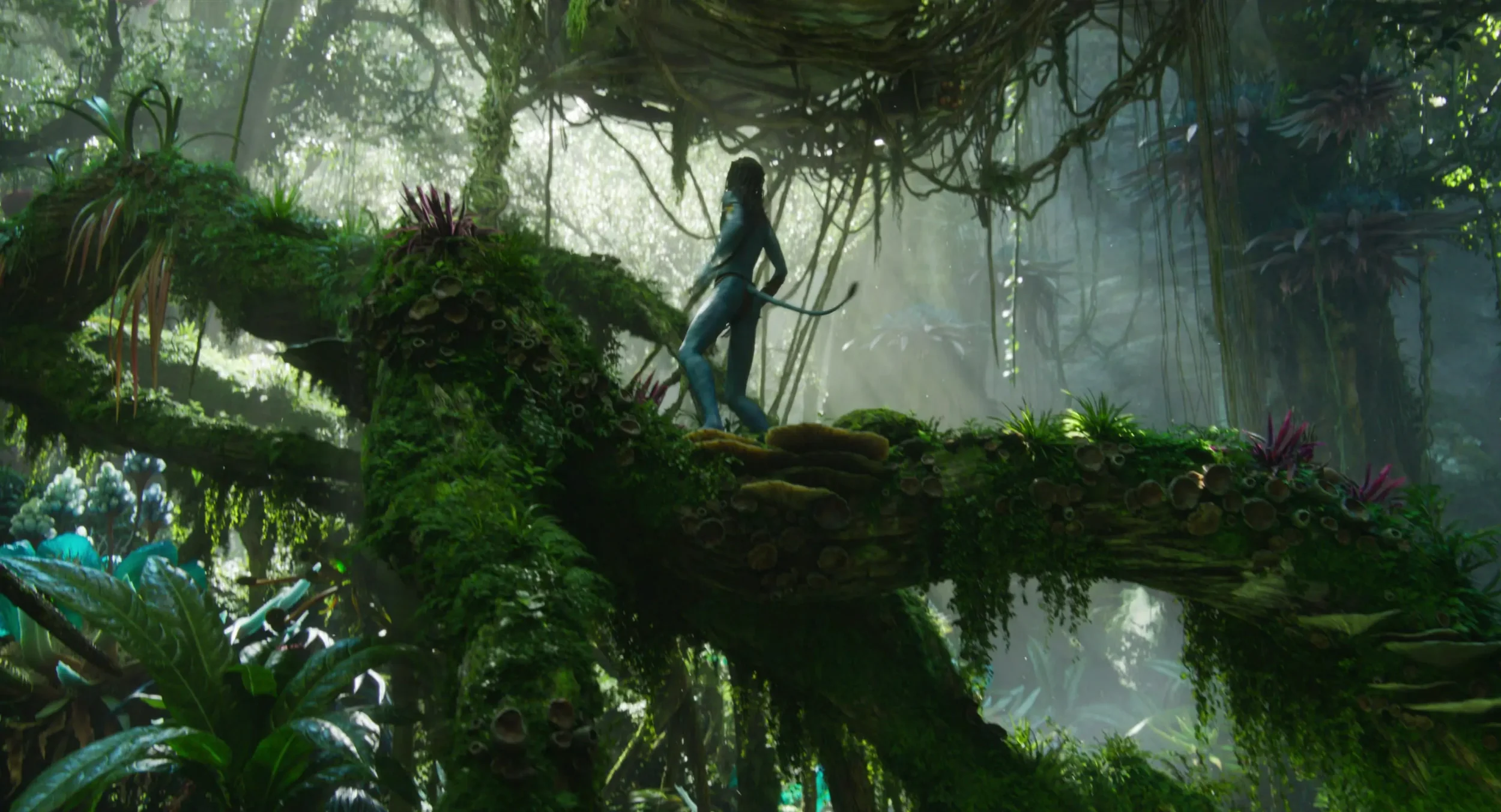 4k-avatar2-movie-screencaps.com-1965.webp