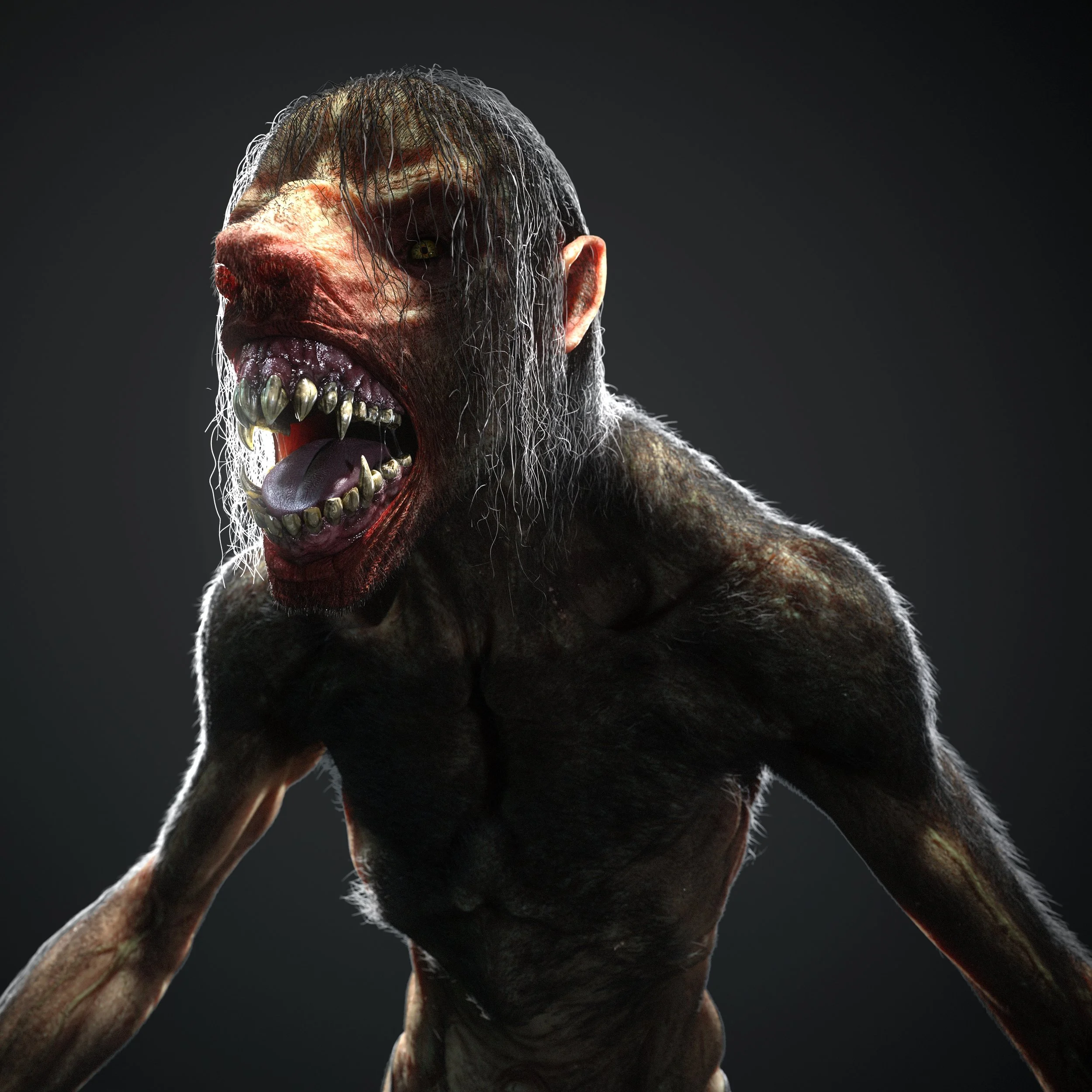 Werewolf Character Design