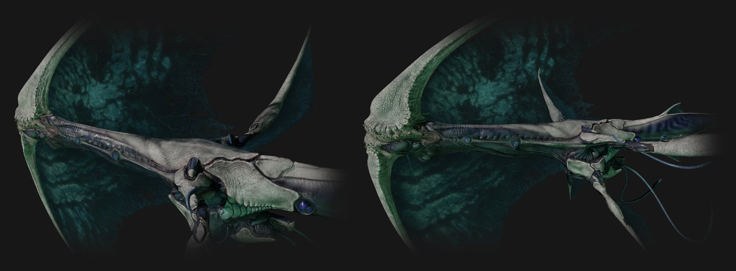 bodySheet04_001 copy.jpg